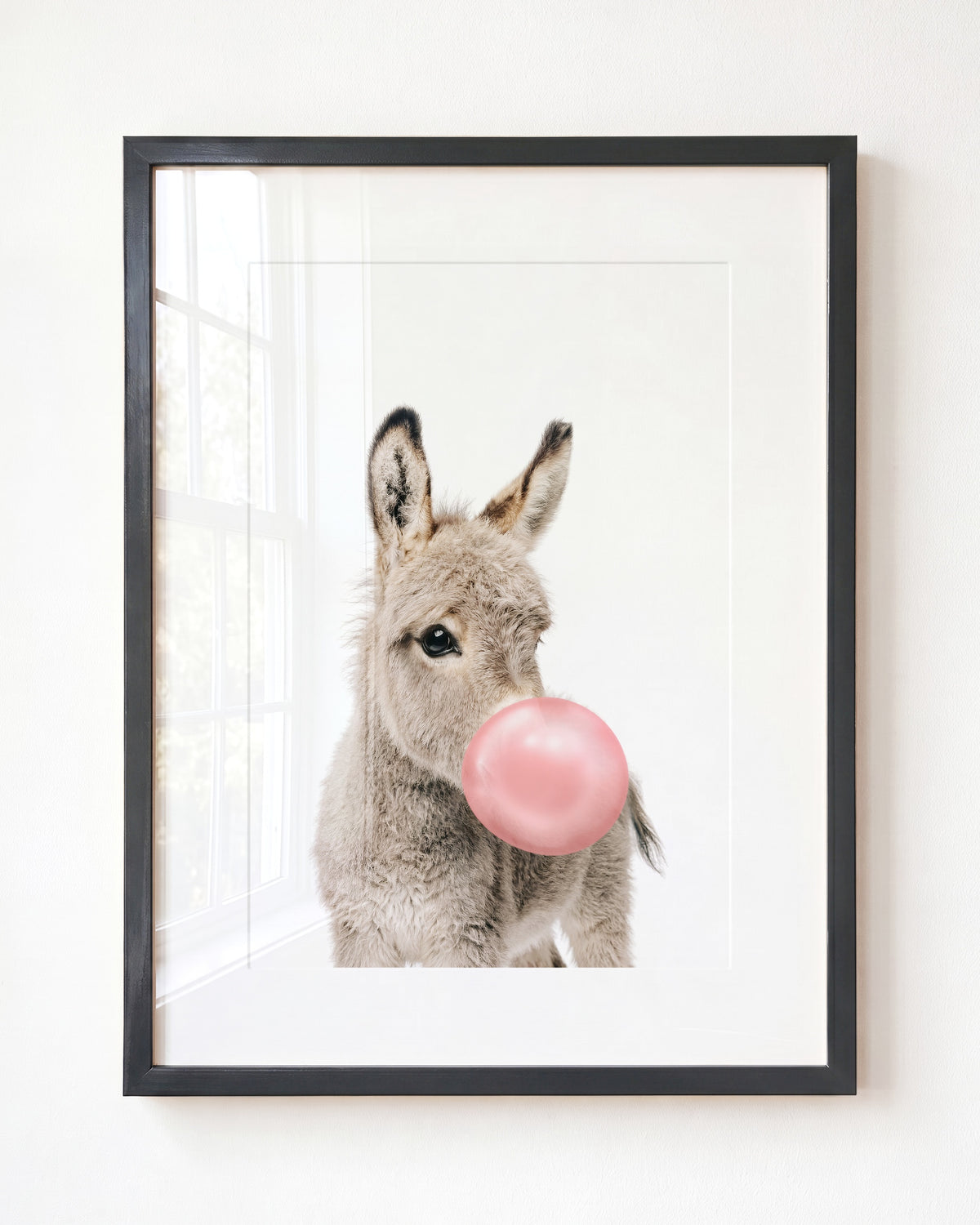 Baby Donkey