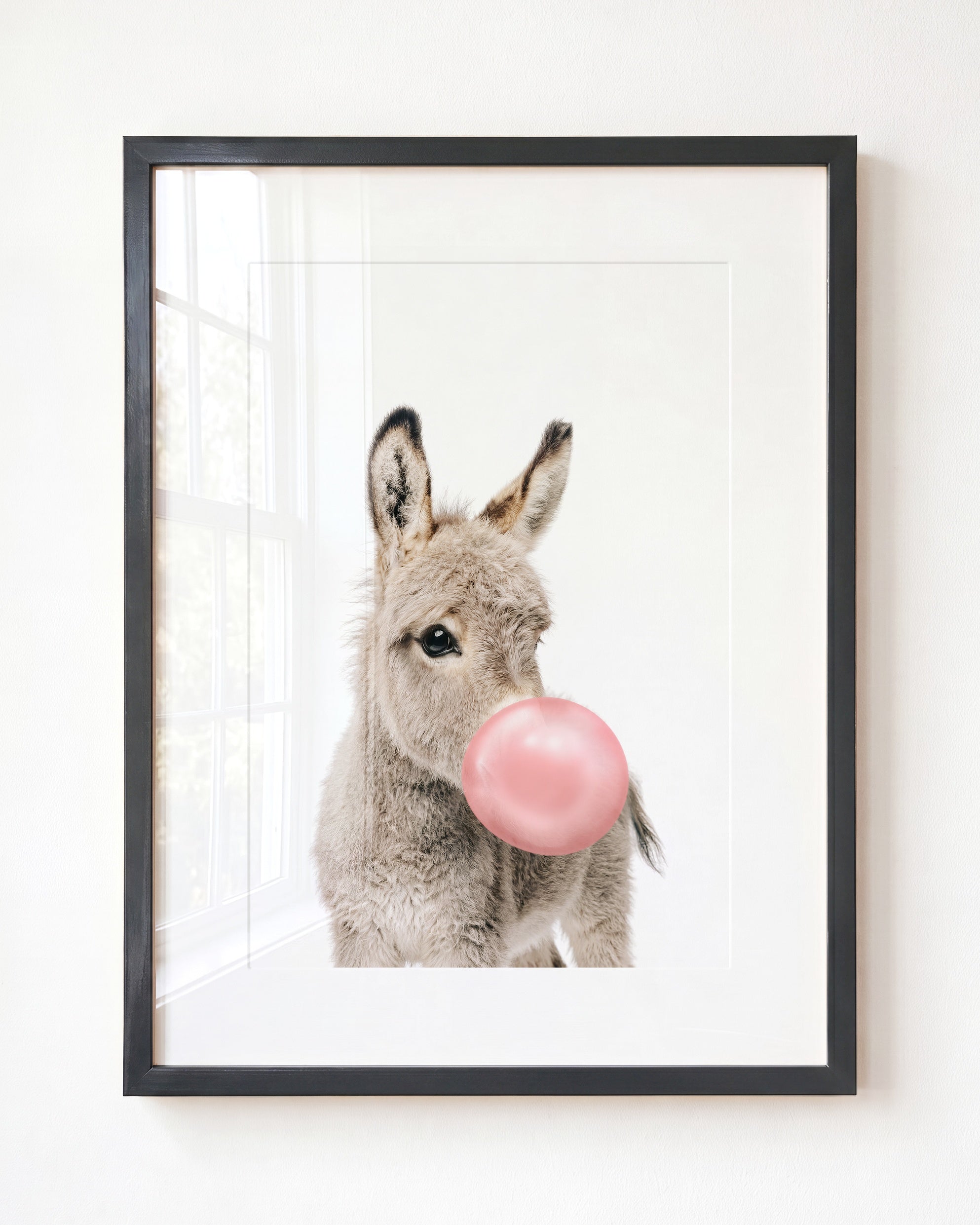 Baby Donkey