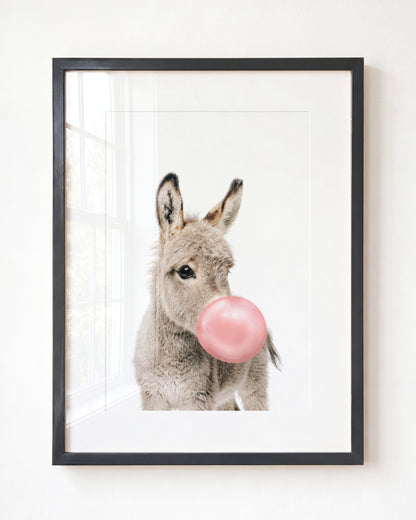 Baby Donkey