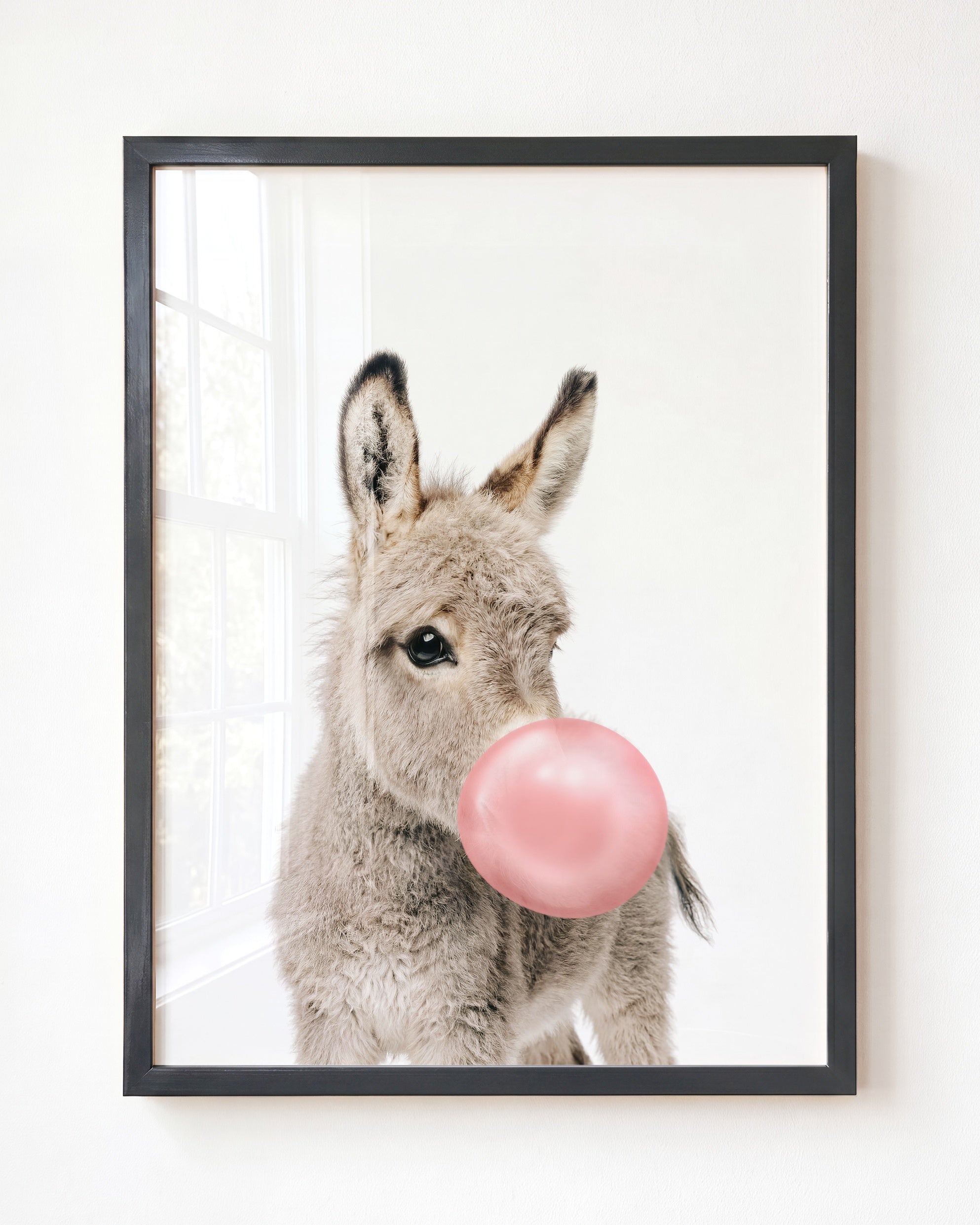 Baby Donkey