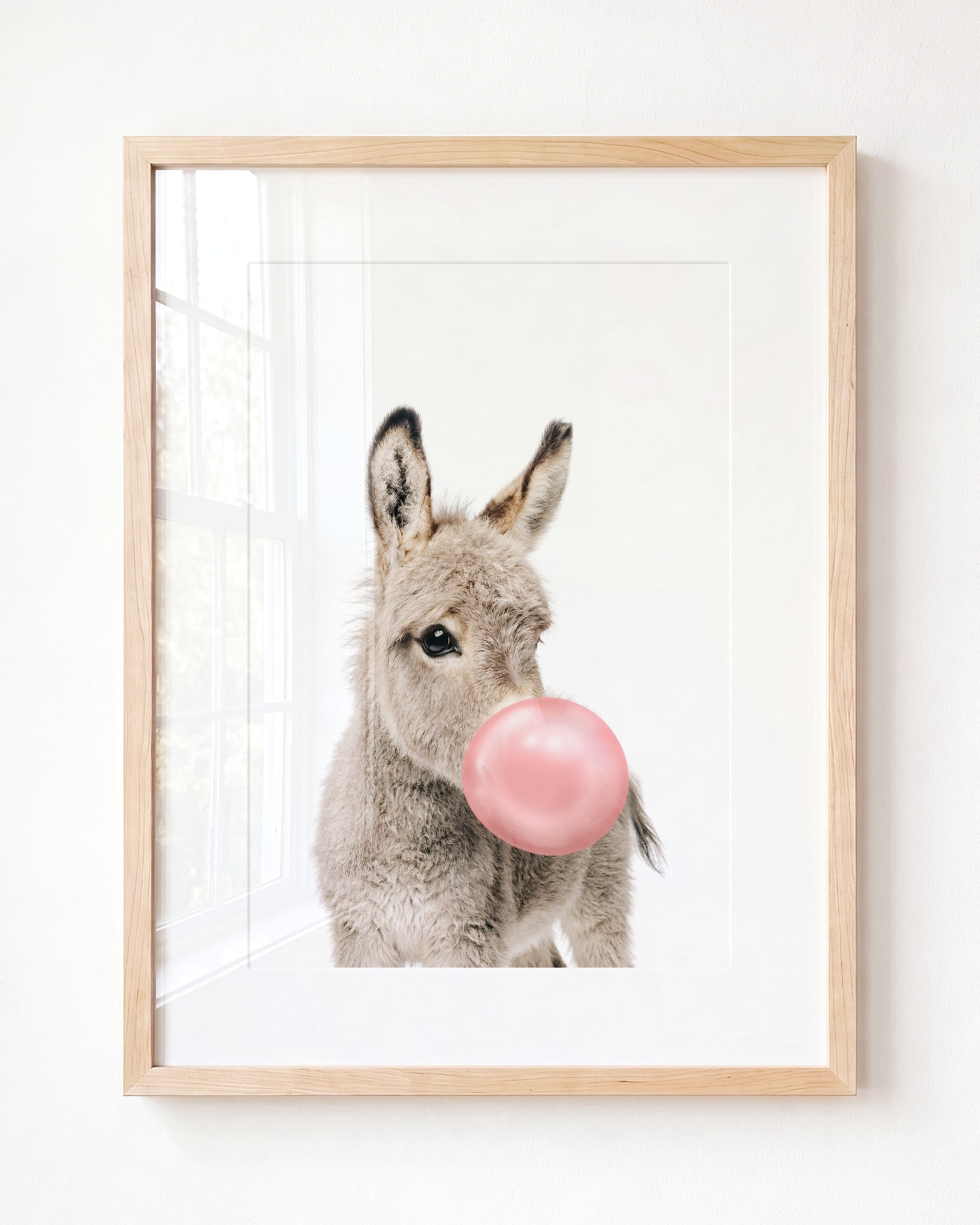 Baby Donkey