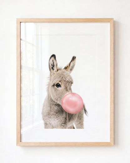 Baby Donkey