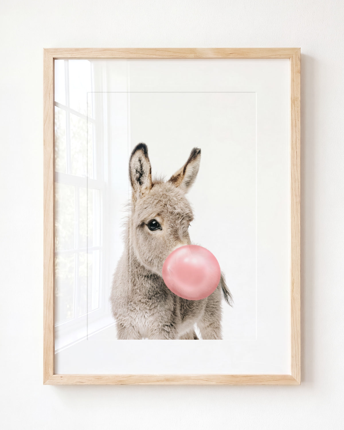 Baby Donkey