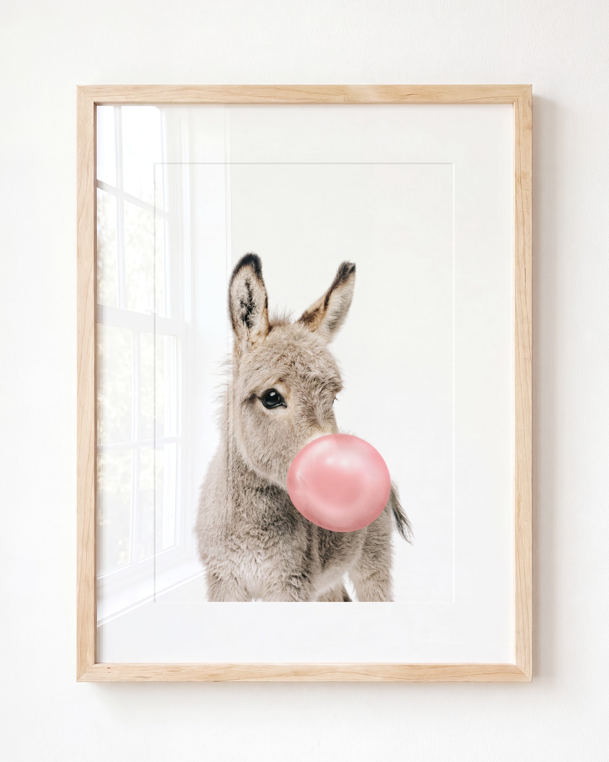 Baby Donkey