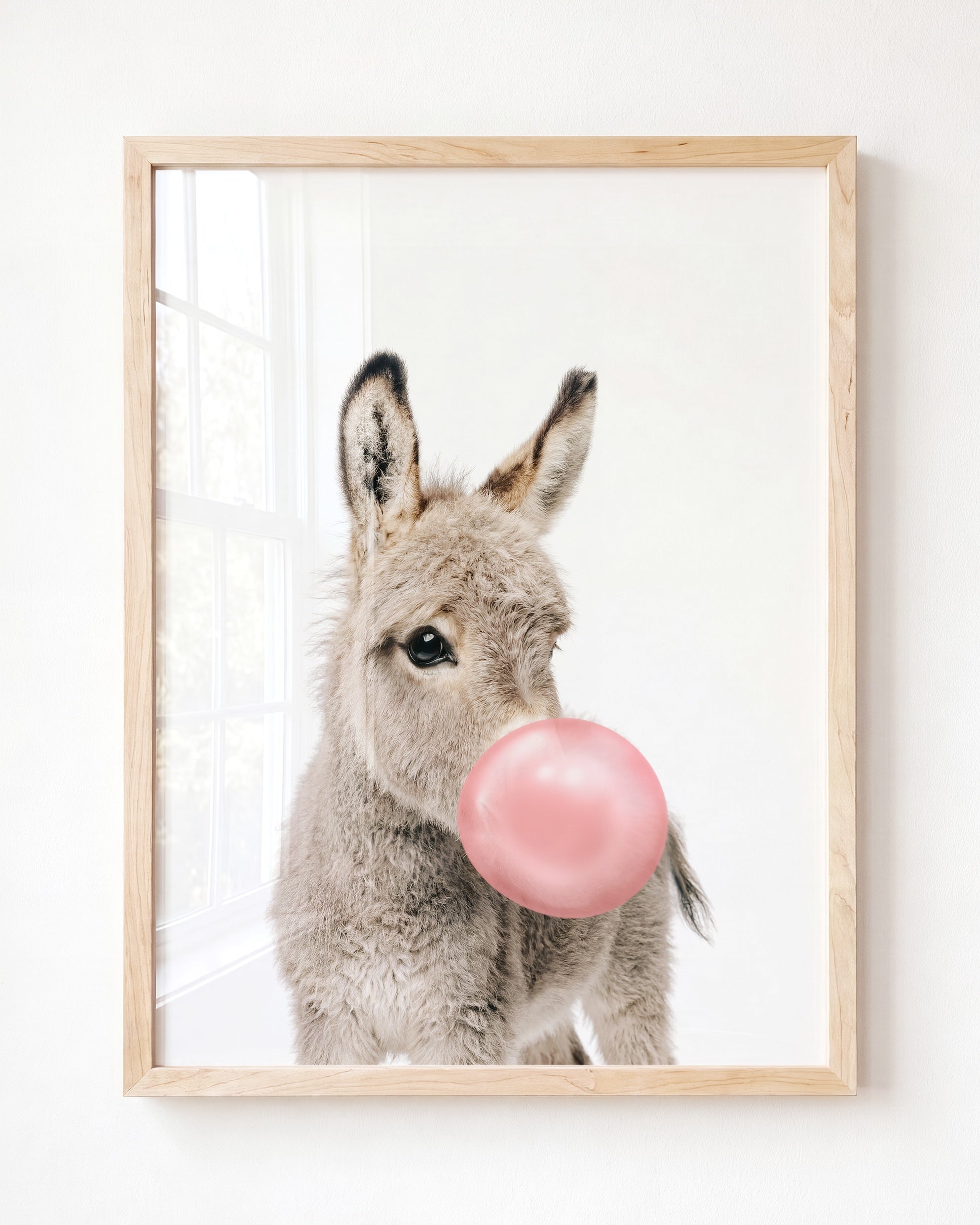 Baby Donkey