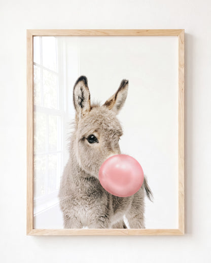 Baby Donkey