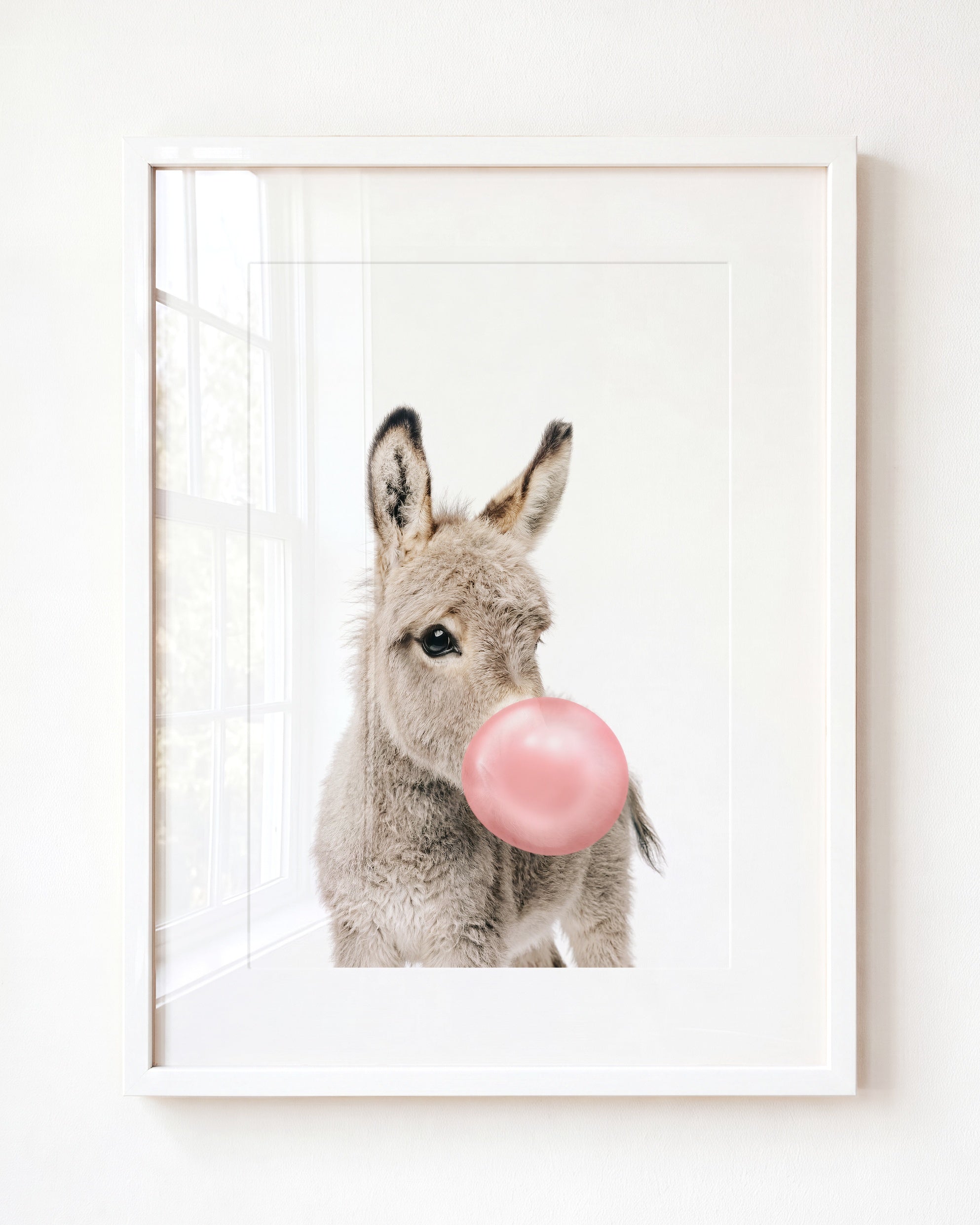 Baby Donkey