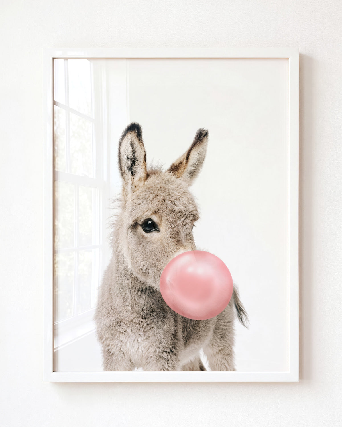 Baby Donkey