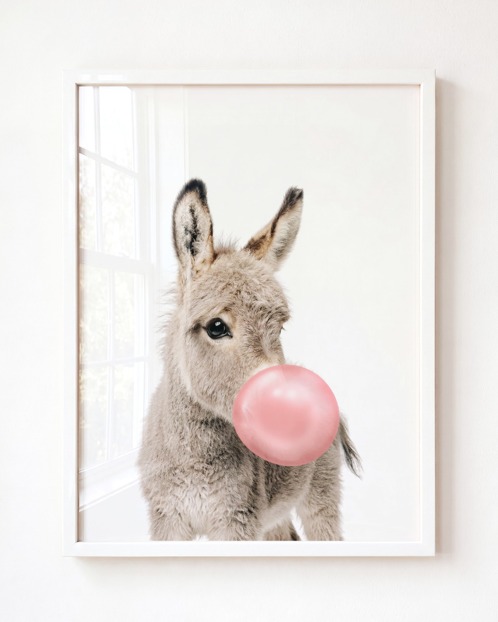 Baby Donkey