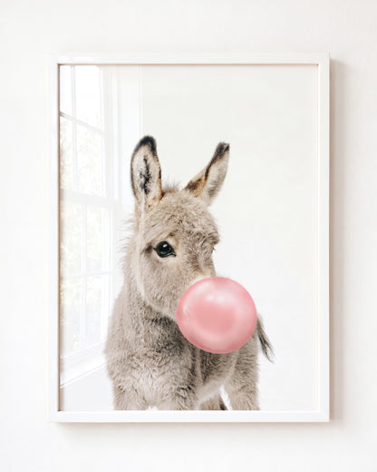 Baby Donkey