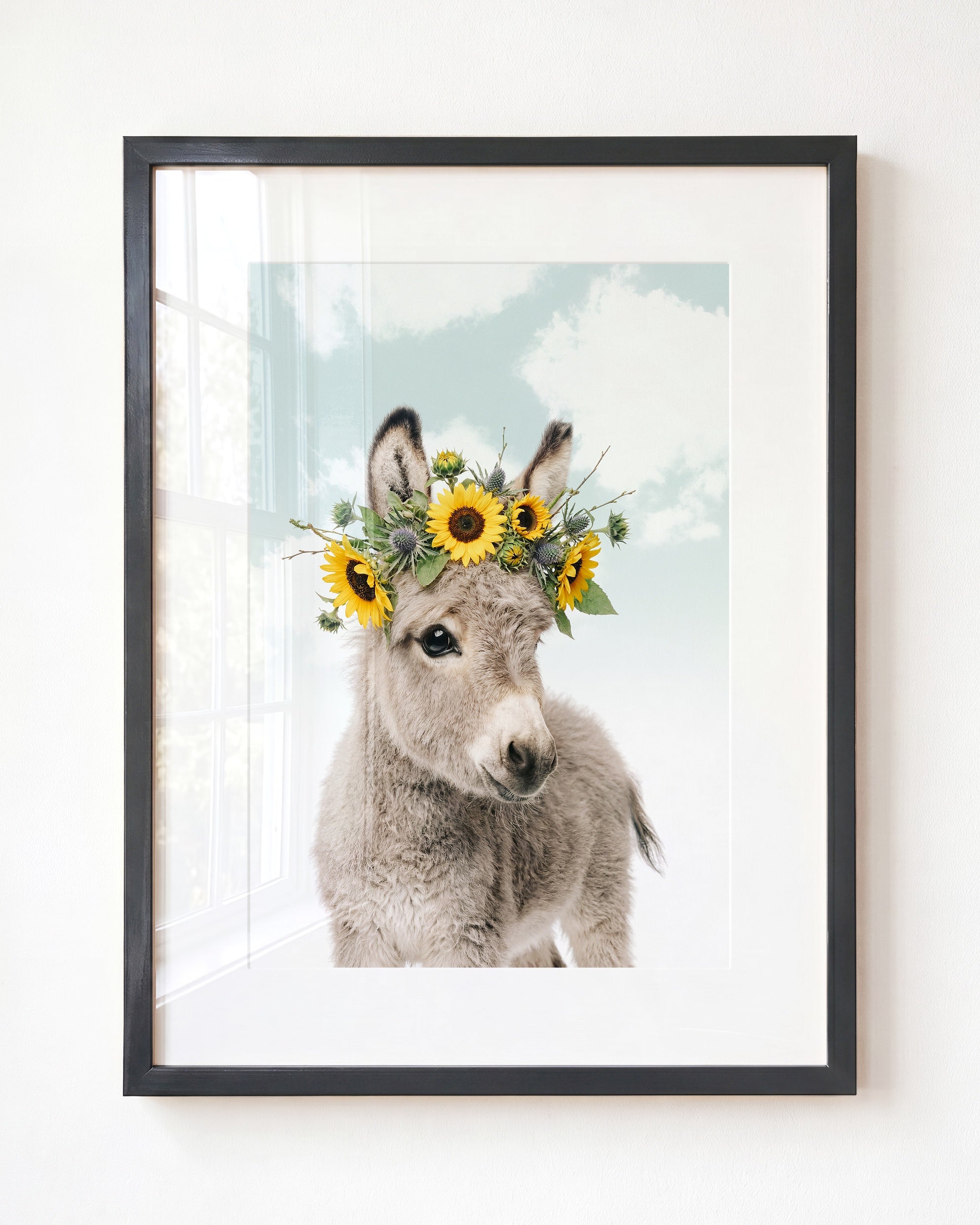 Baby Donkey