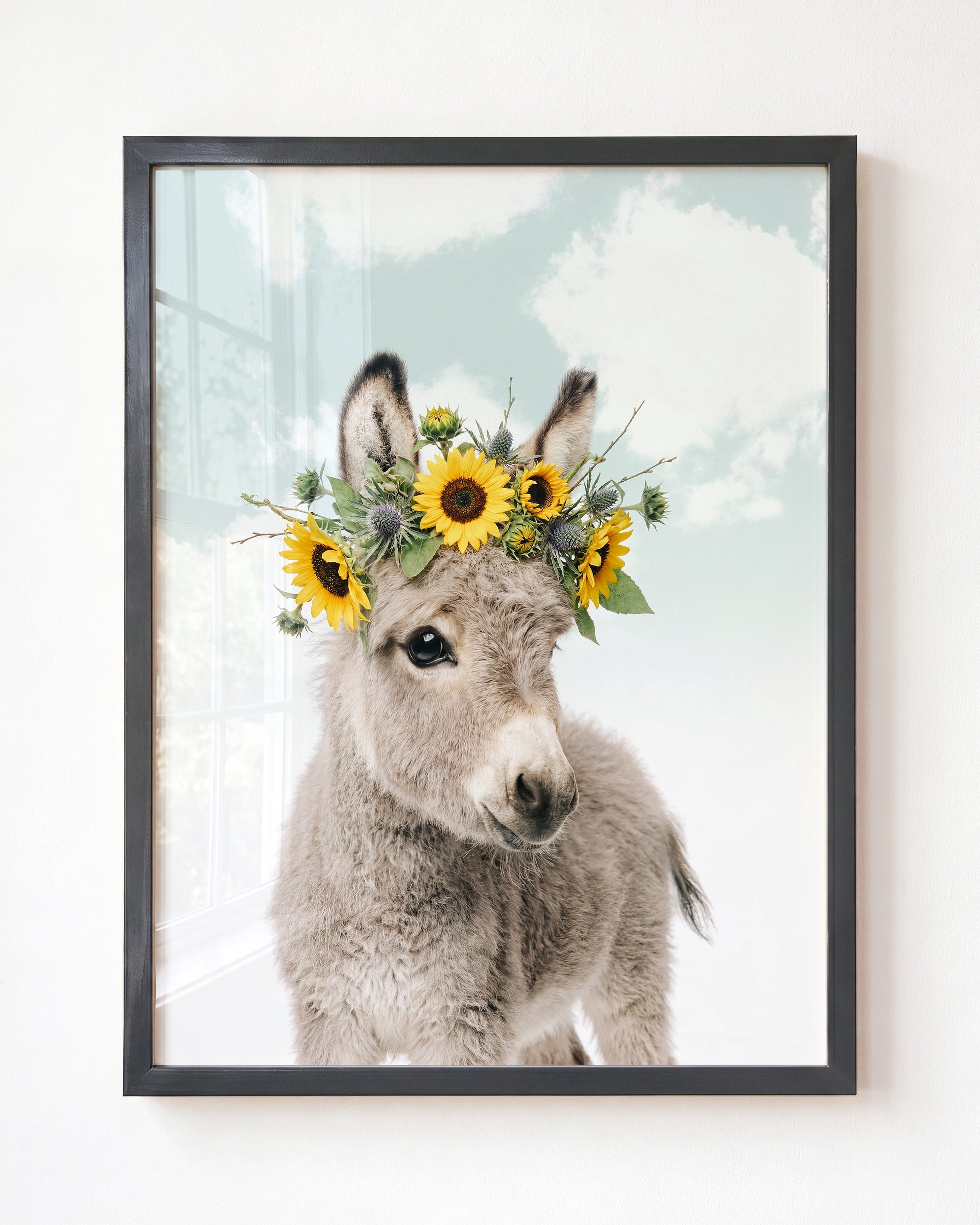 Baby Donkey