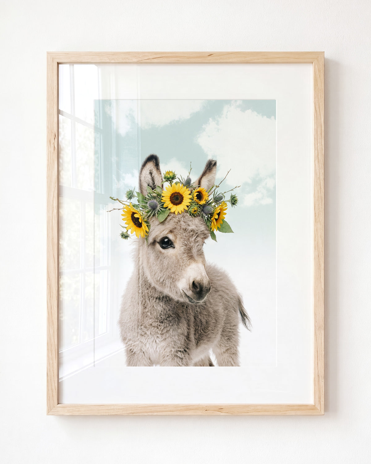 Baby Donkey