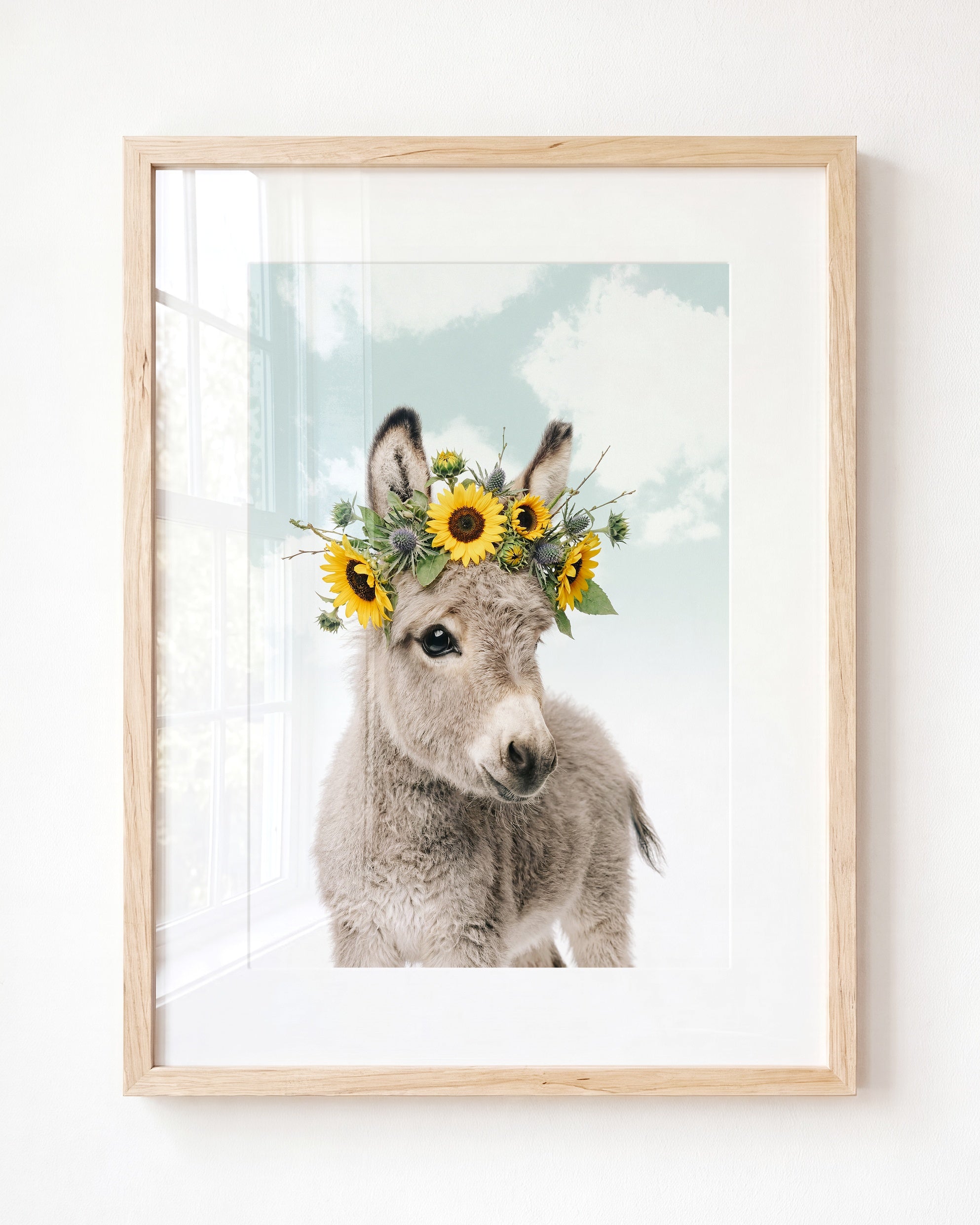 Baby Donkey