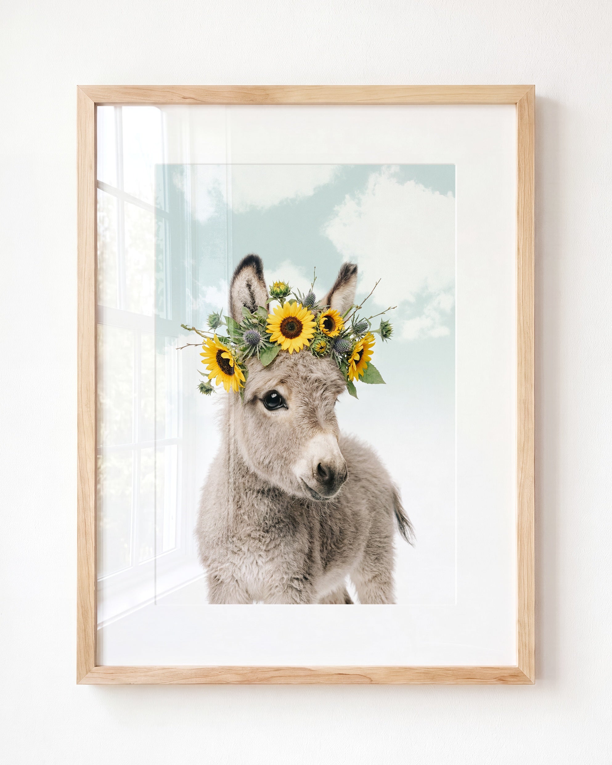 Baby Donkey