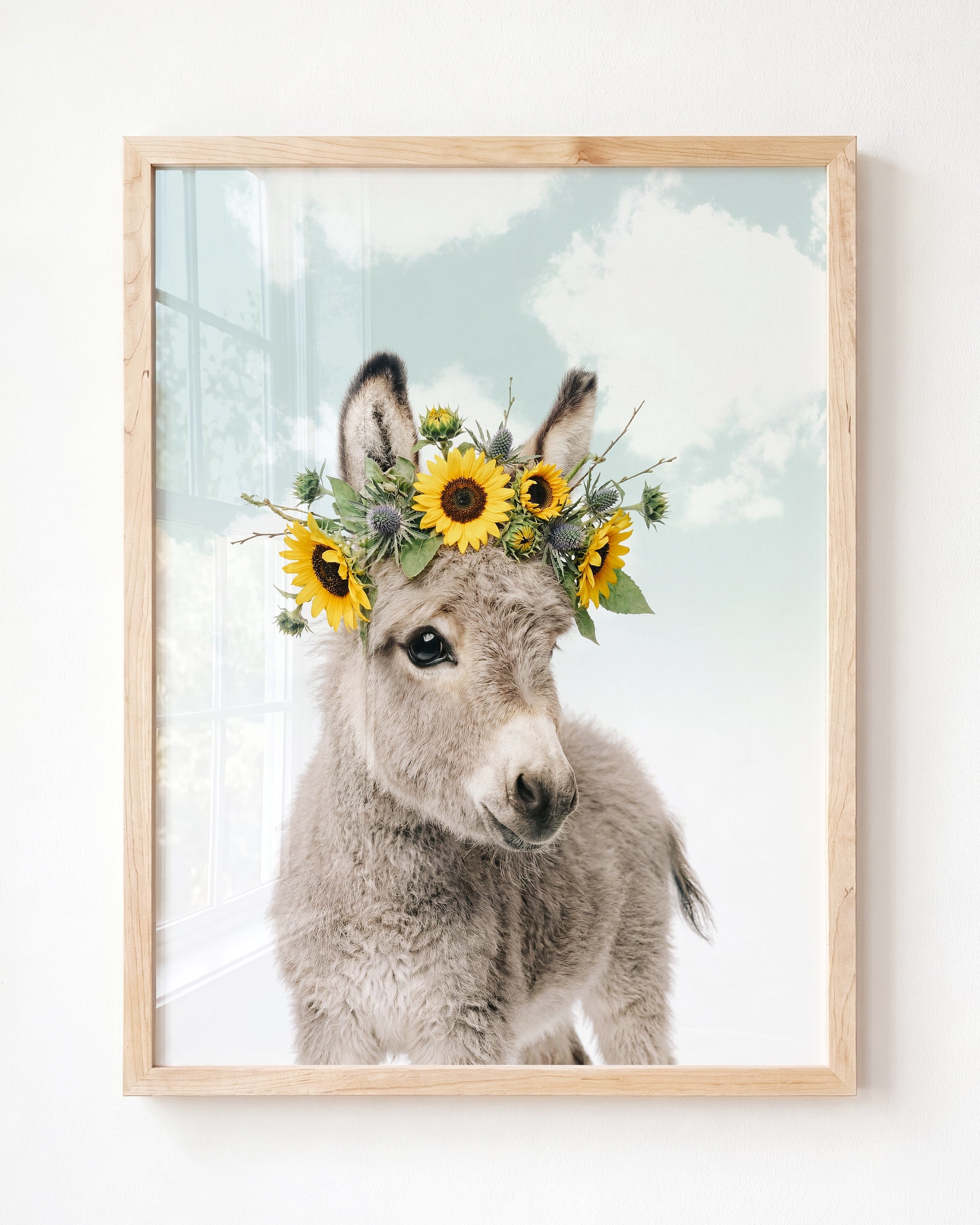 Baby Donkey