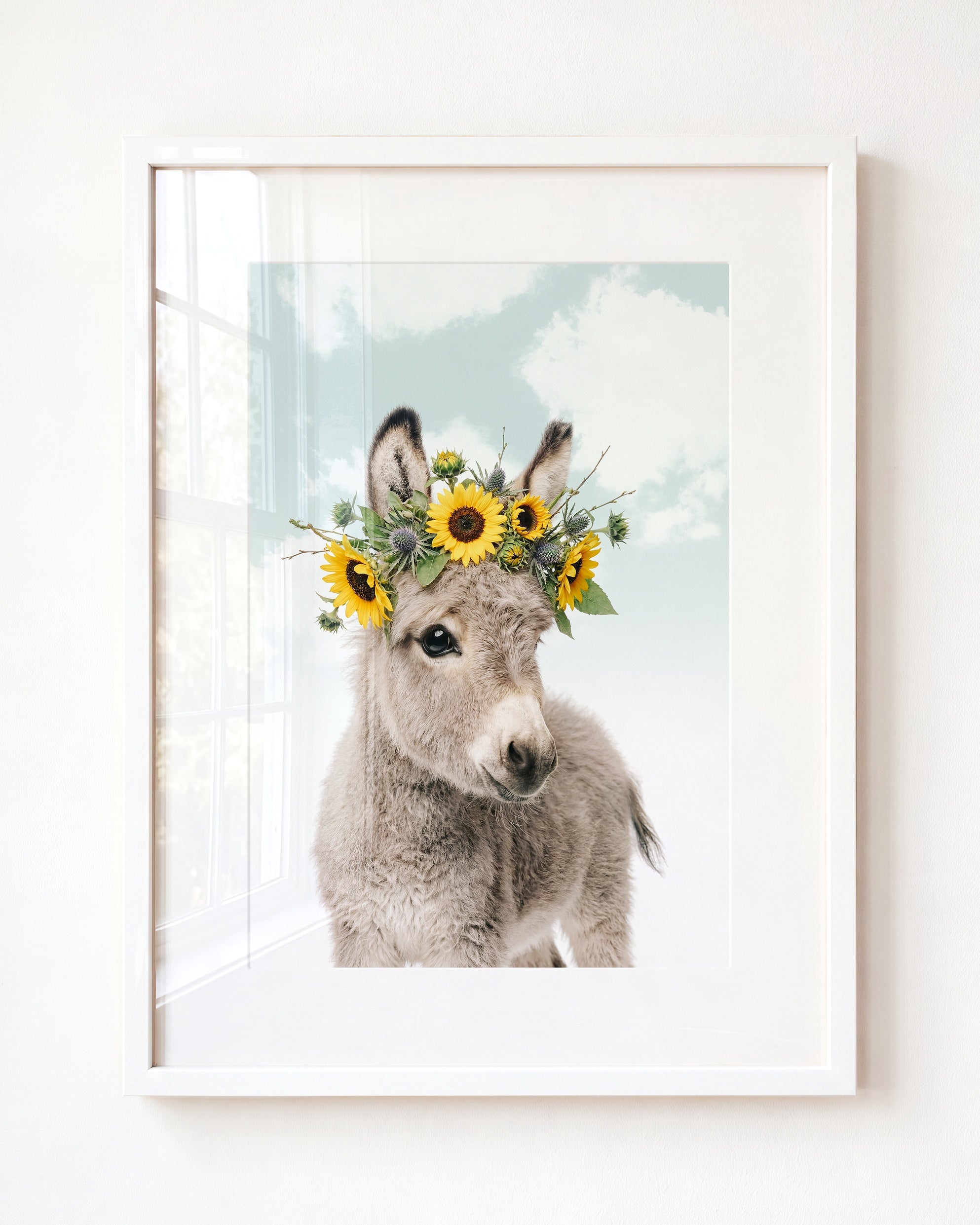 Baby Donkey