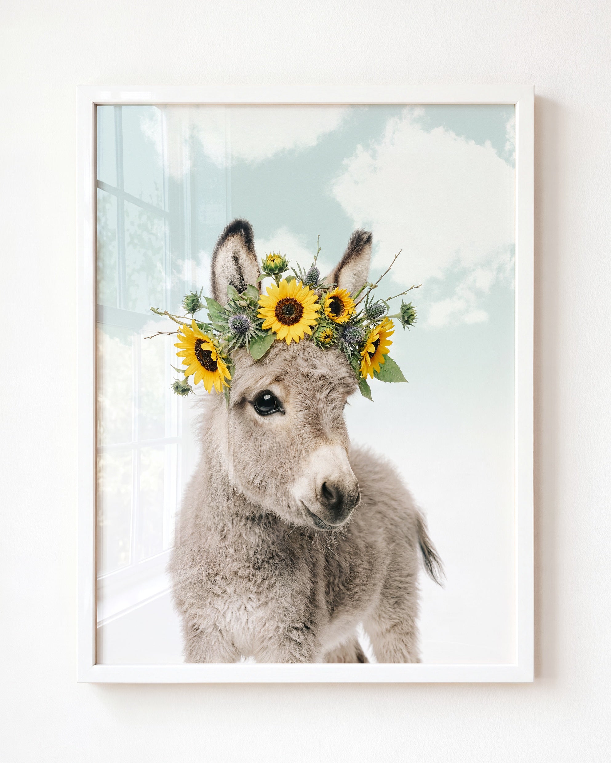 Baby Donkey