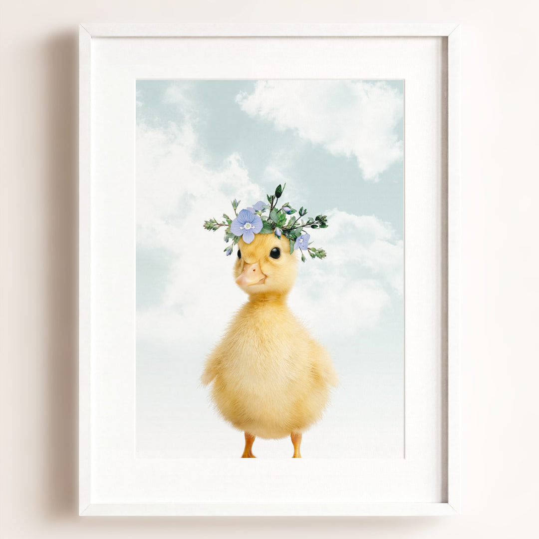 Baby Duckling