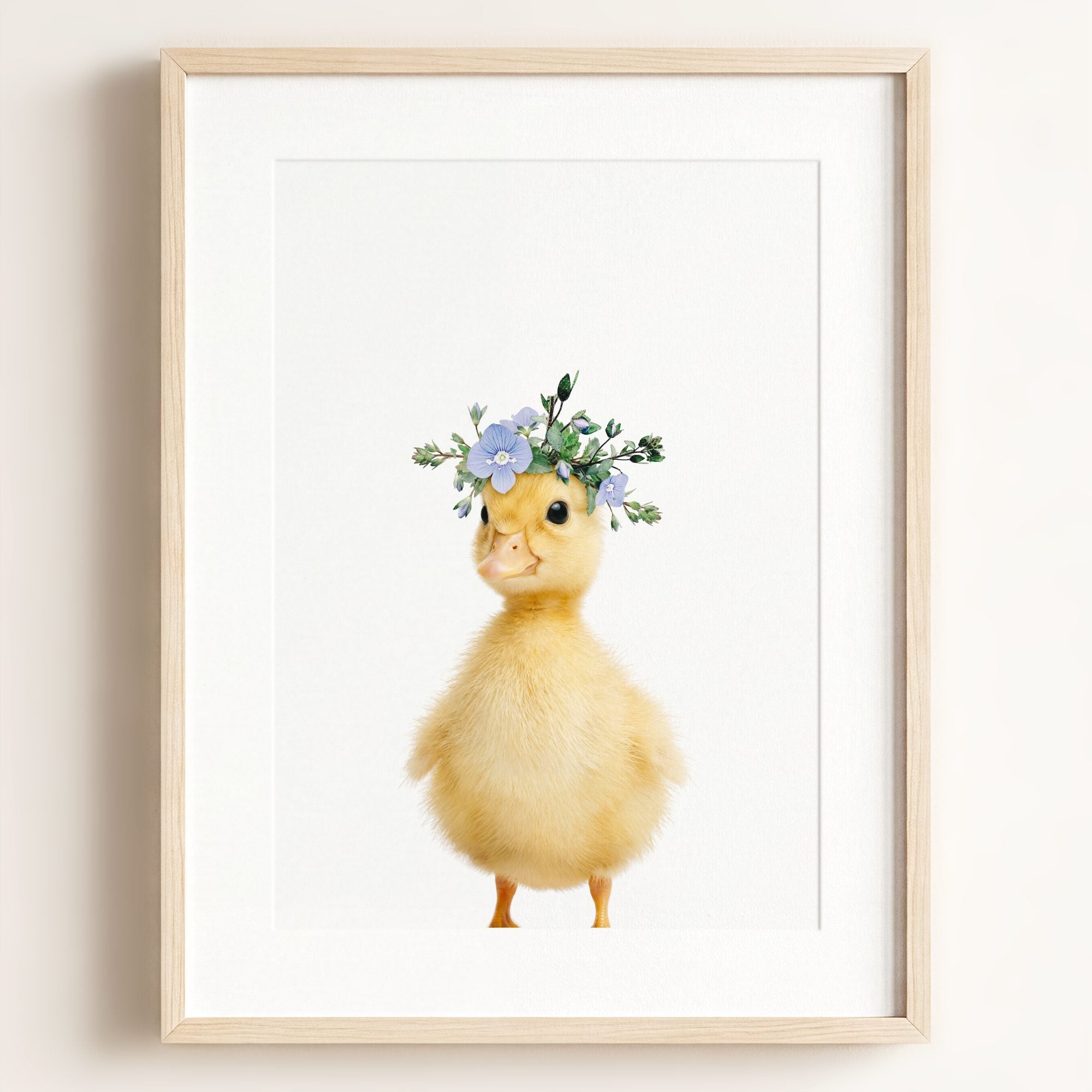 Baby Duckling
