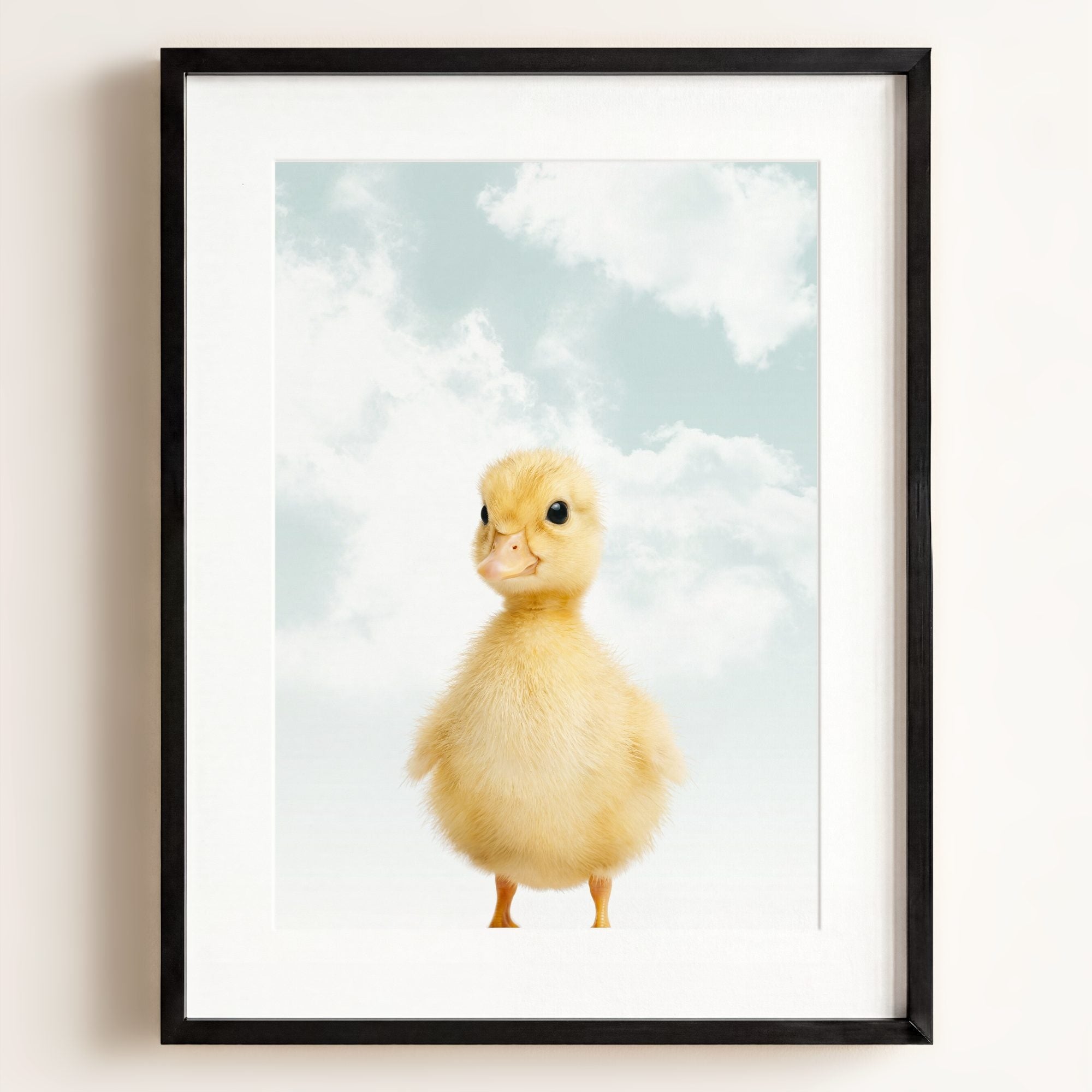 Baby Duckling
