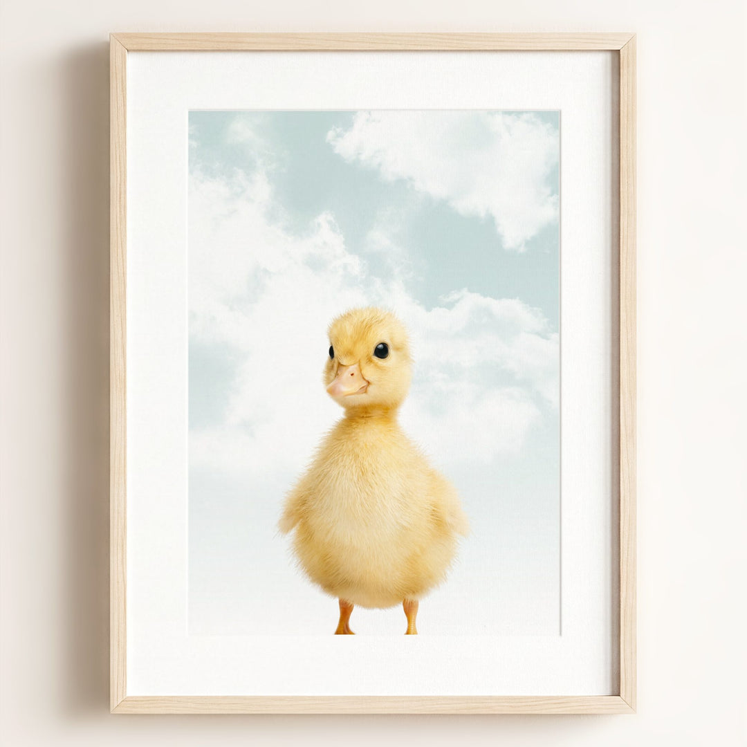 Baby Duckling