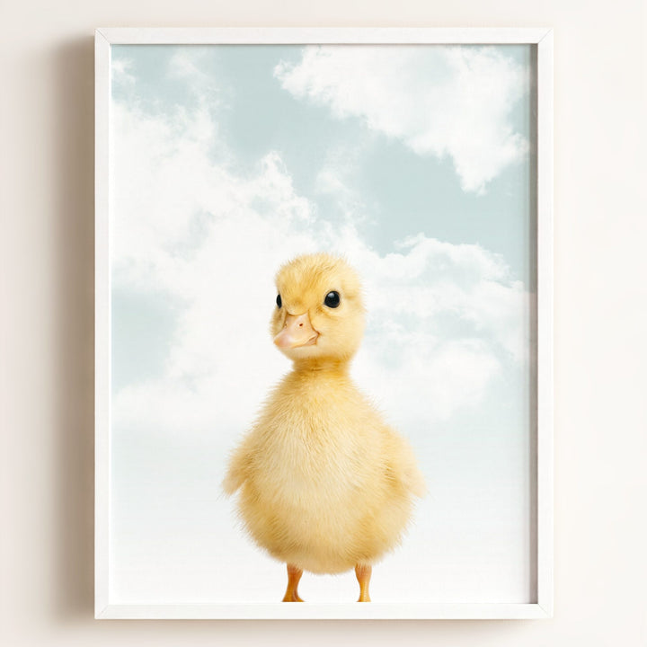 Baby Duckling