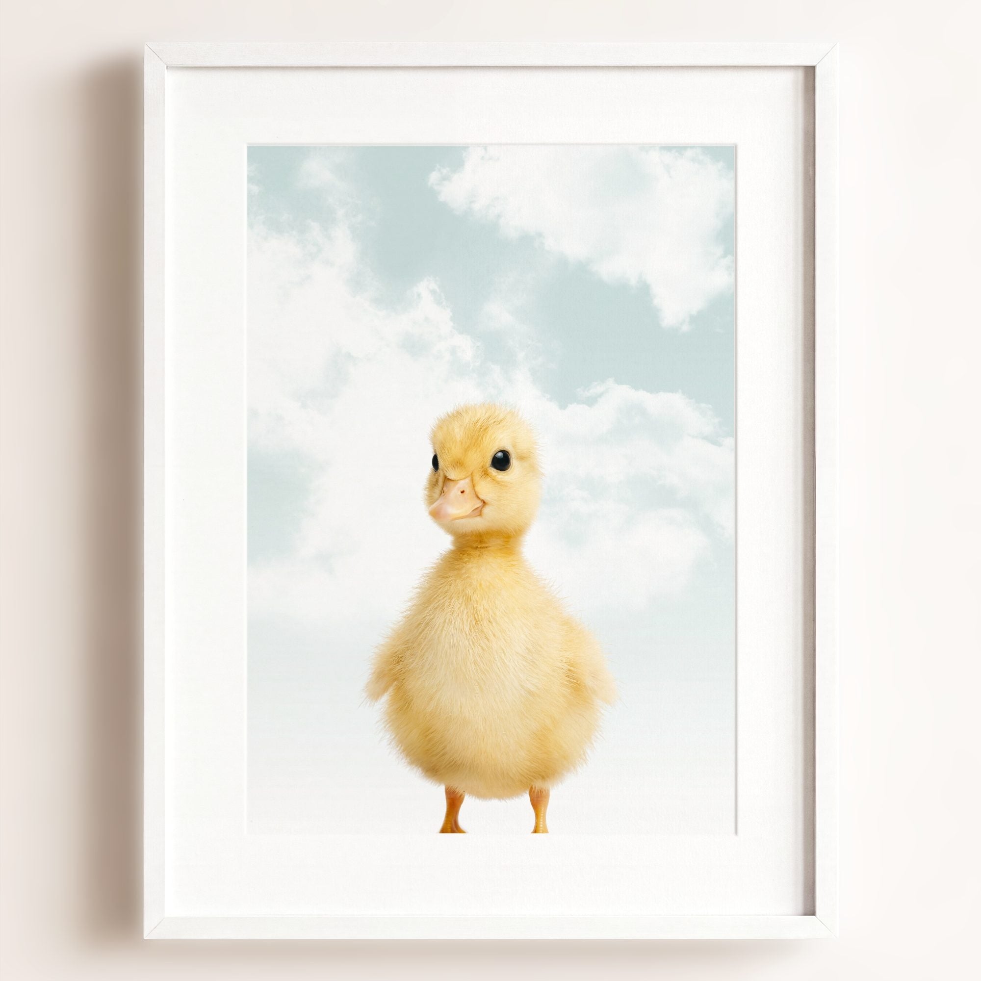 Baby Duckling