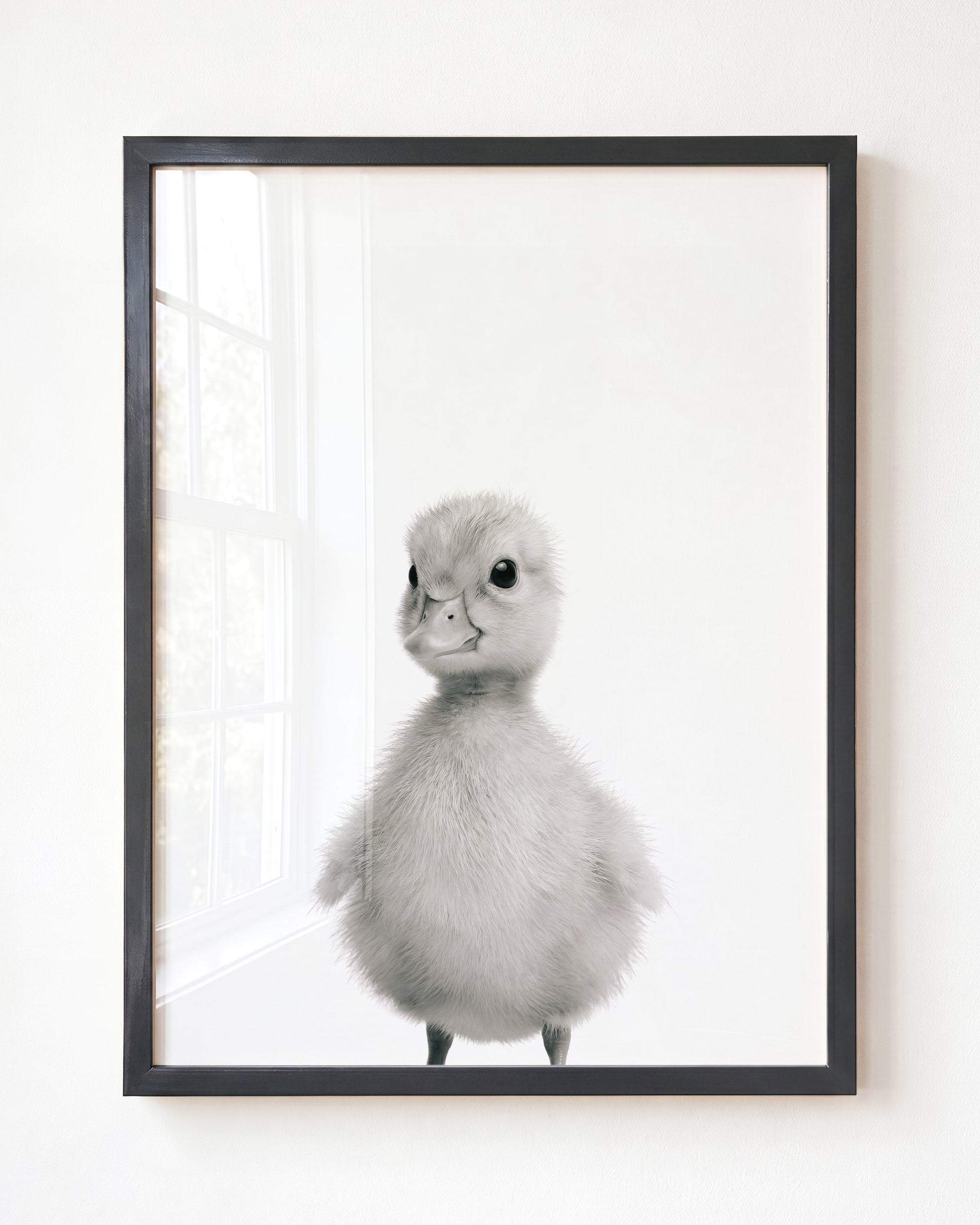 Baby Duckling