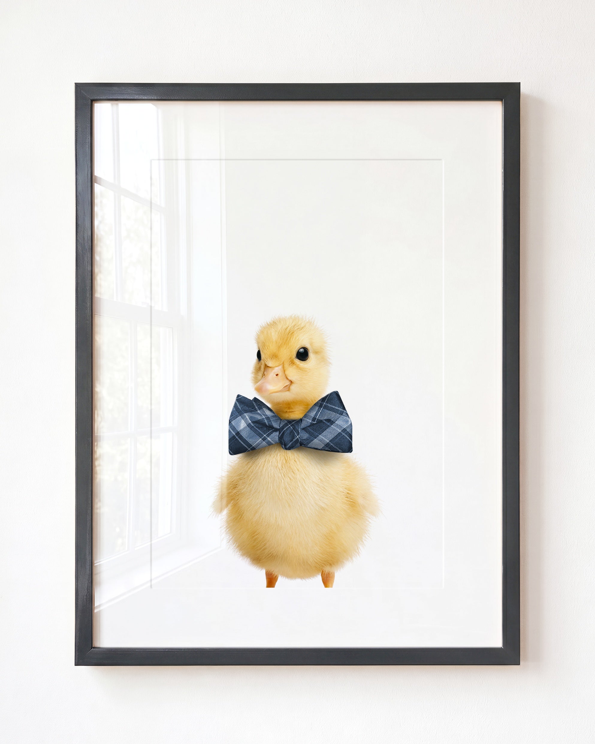 Baby Duckling