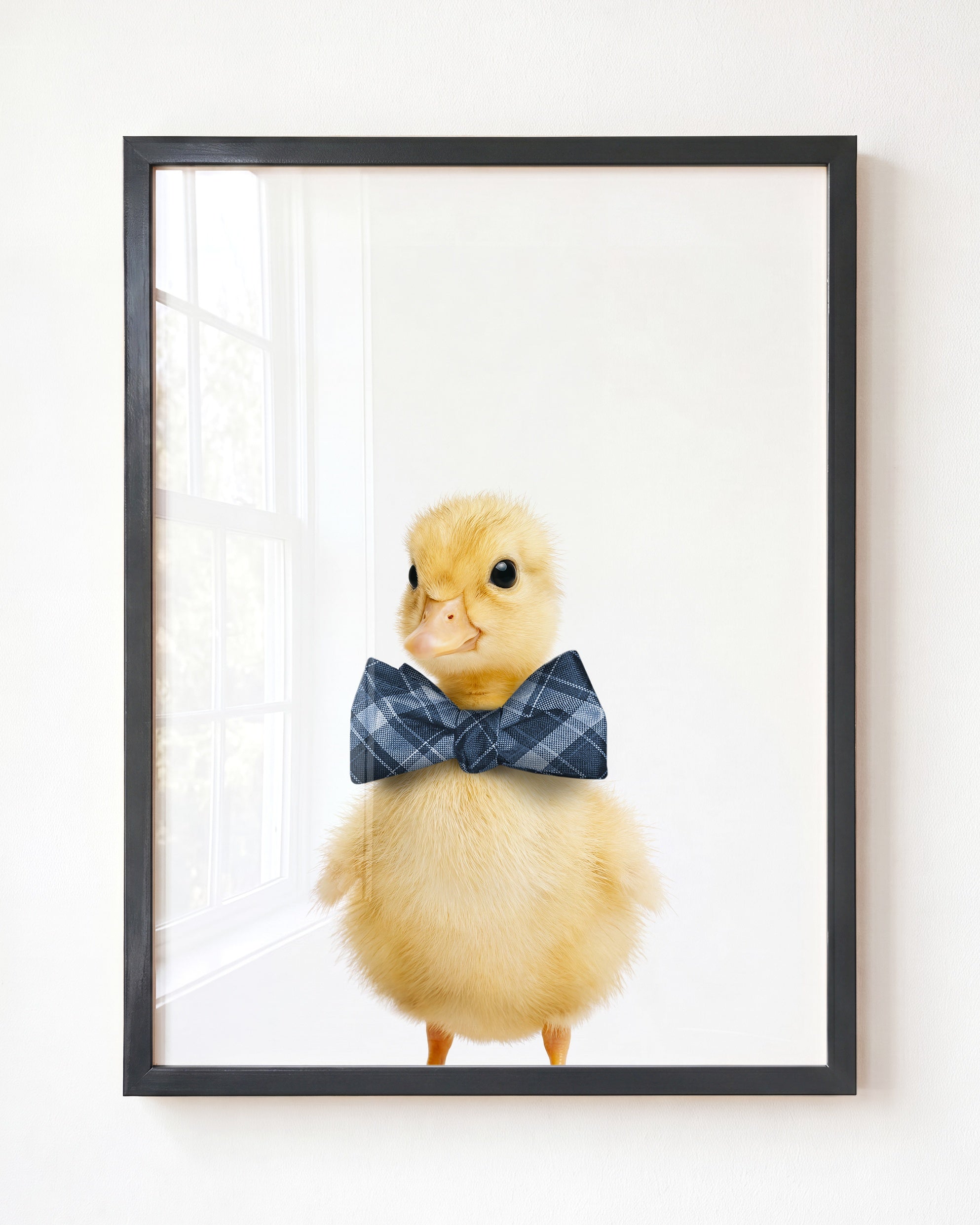 Baby Duckling