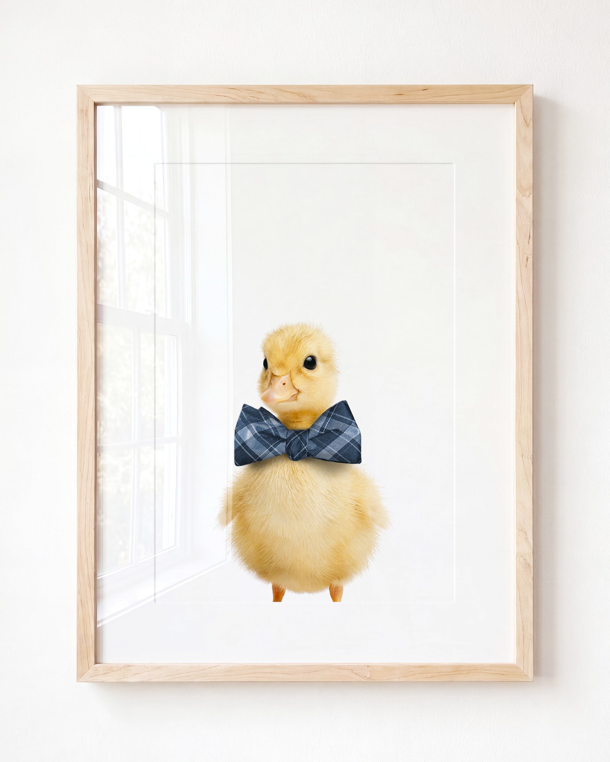 Baby Duckling