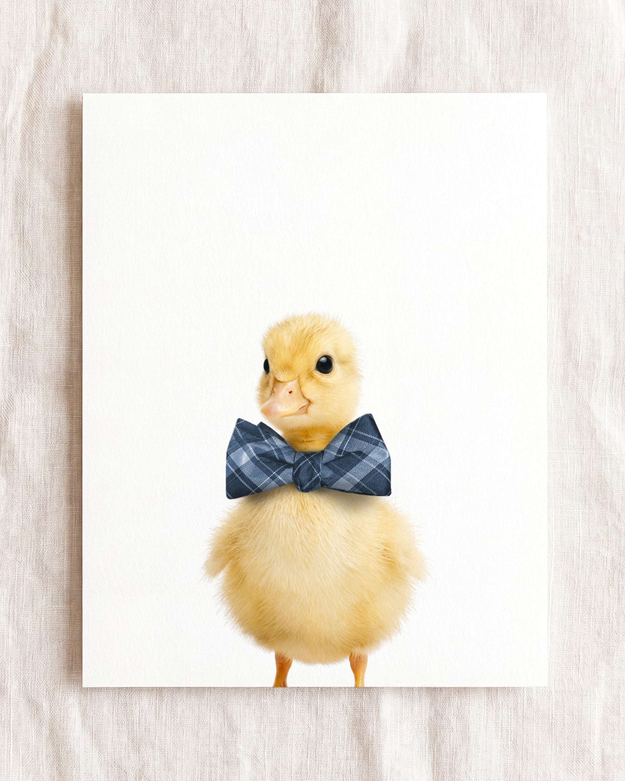Baby Duckling