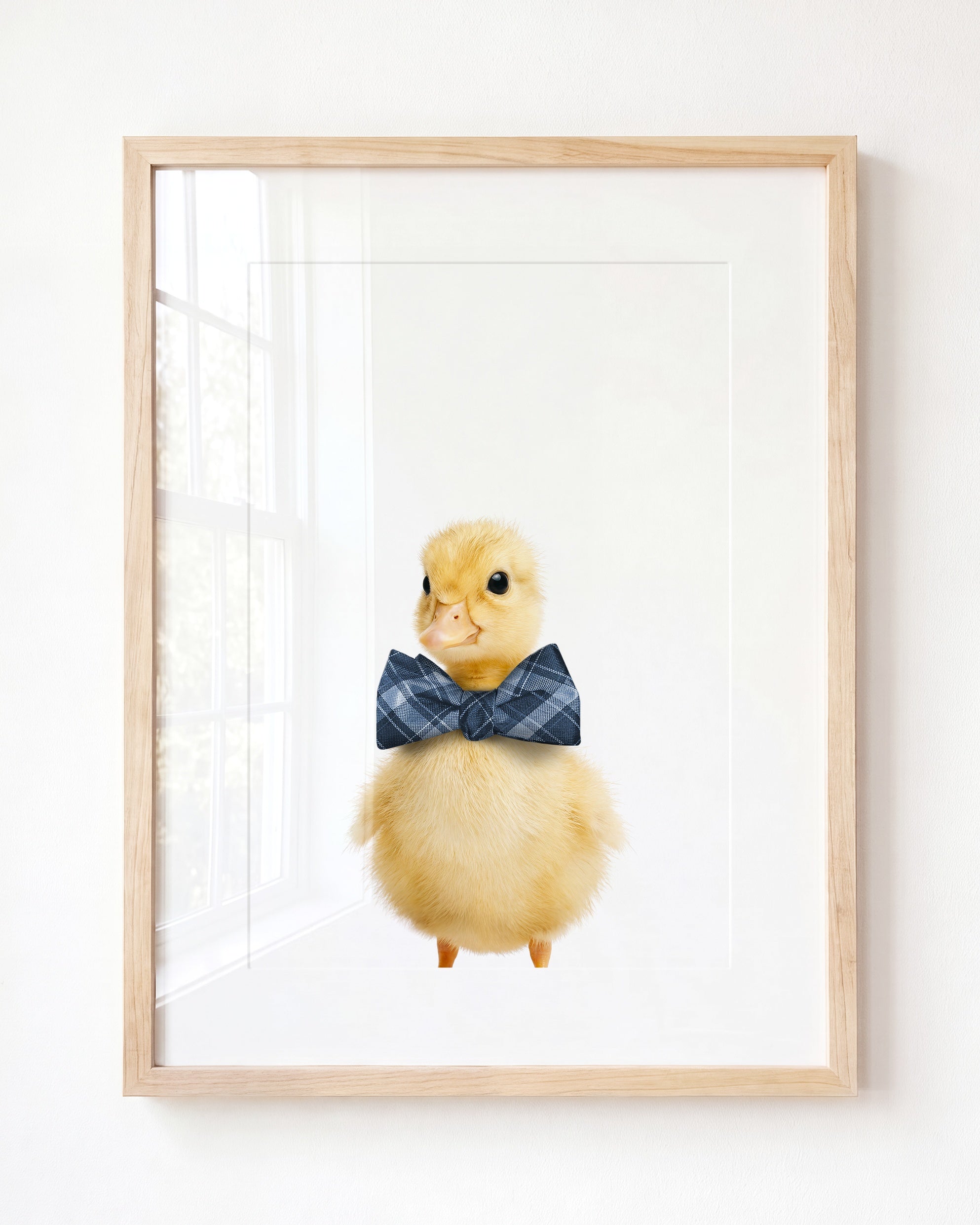 Baby Duckling