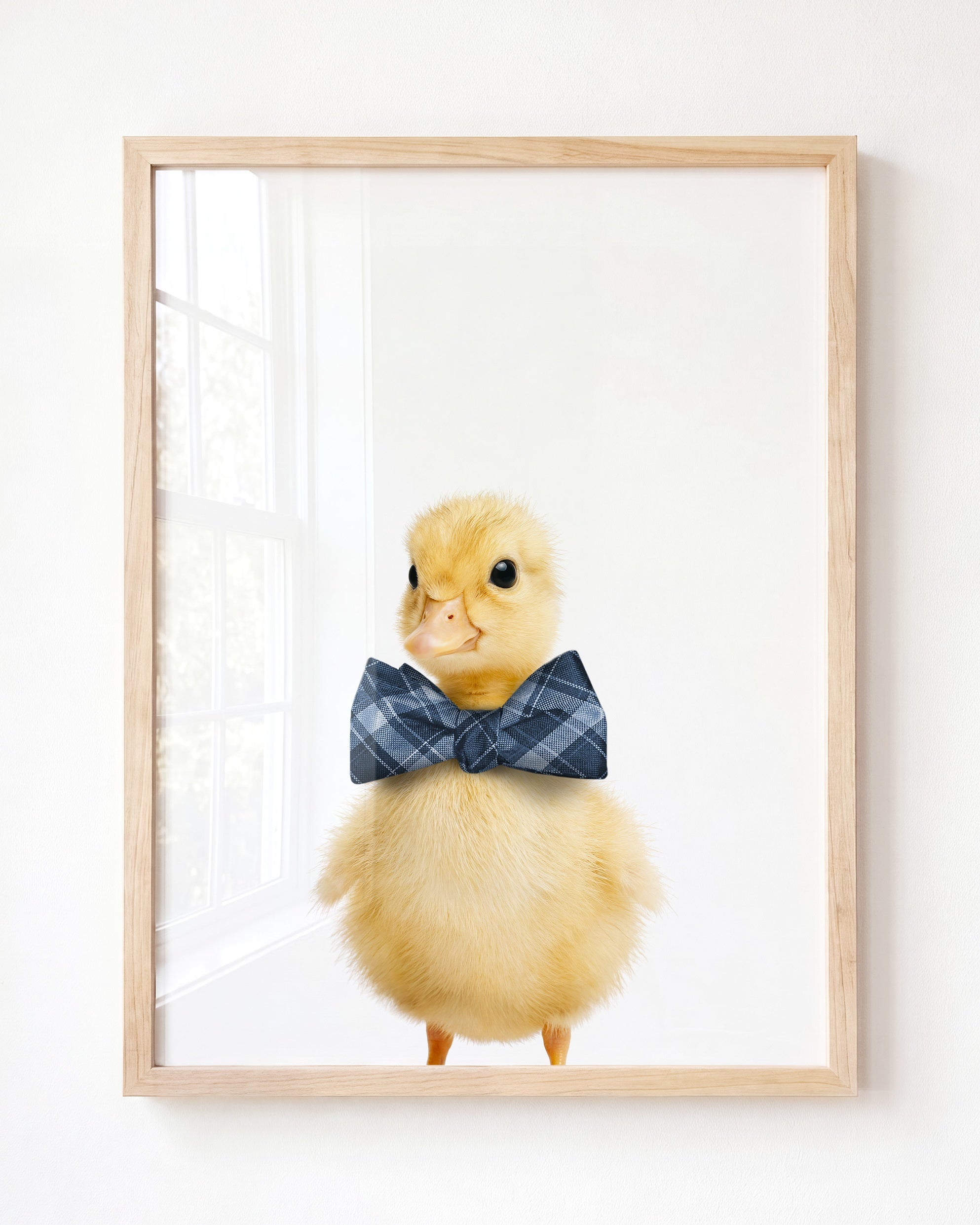Baby Duckling