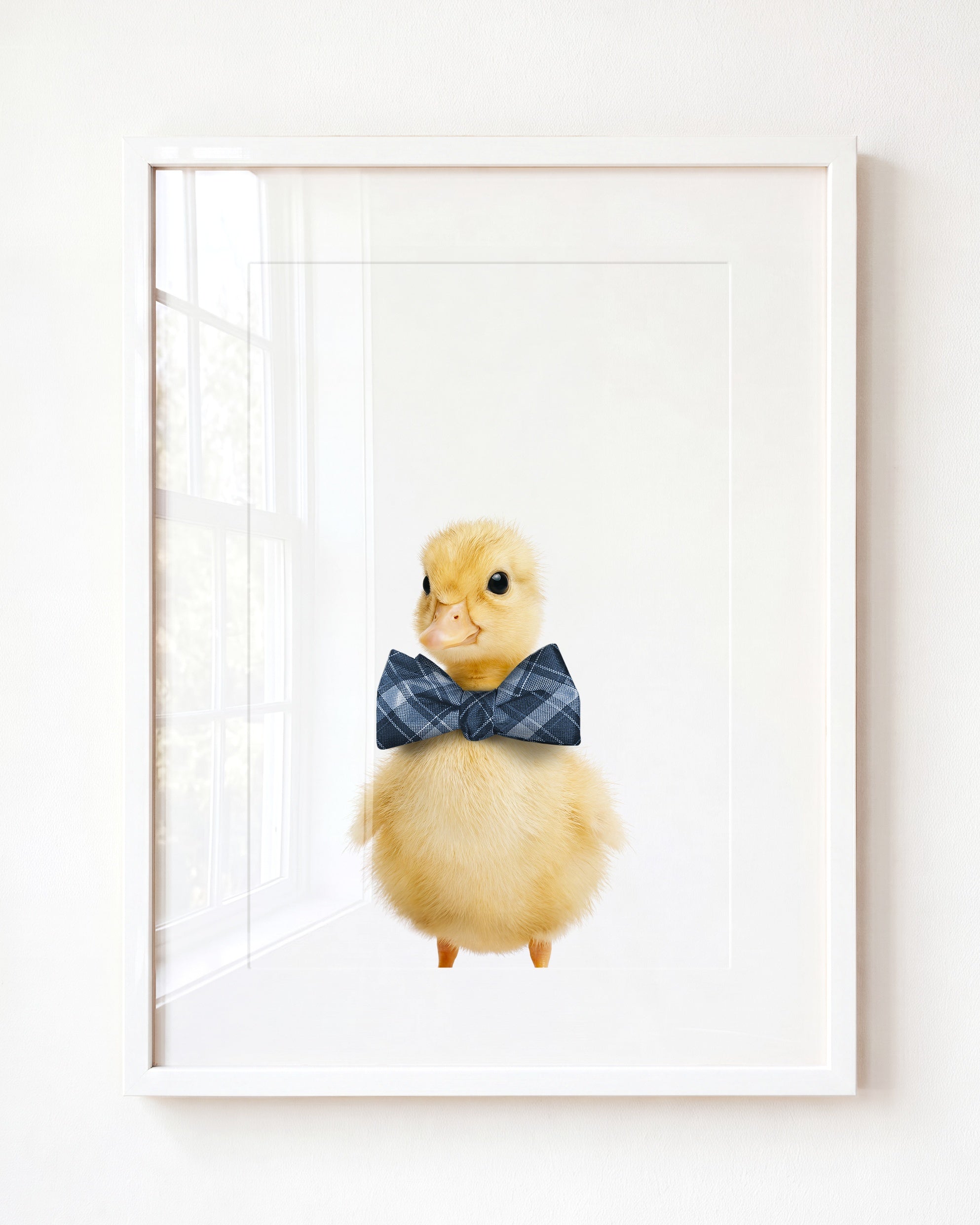 Baby Duckling