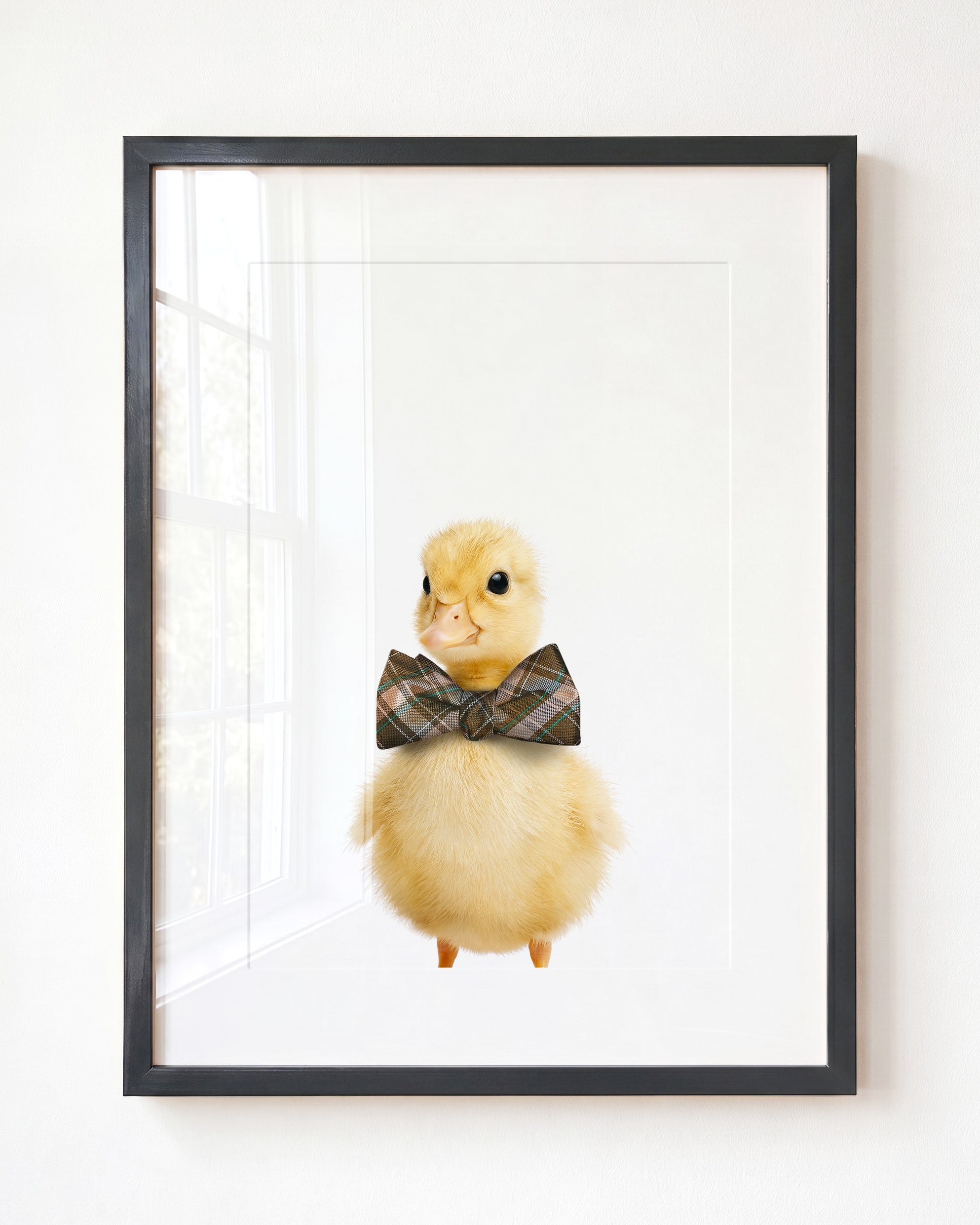 Baby Duckling