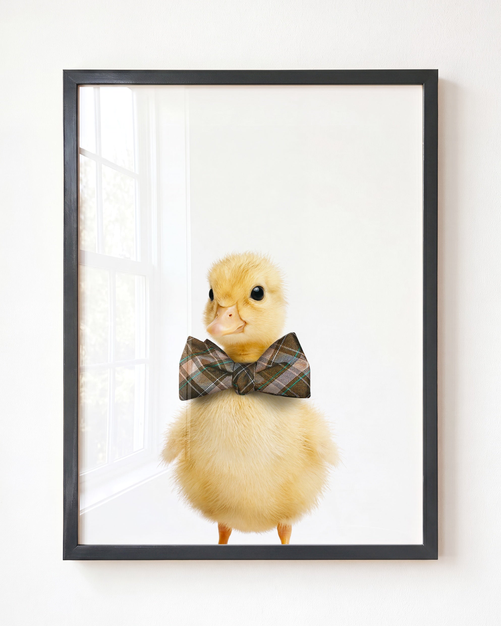 Baby Duckling