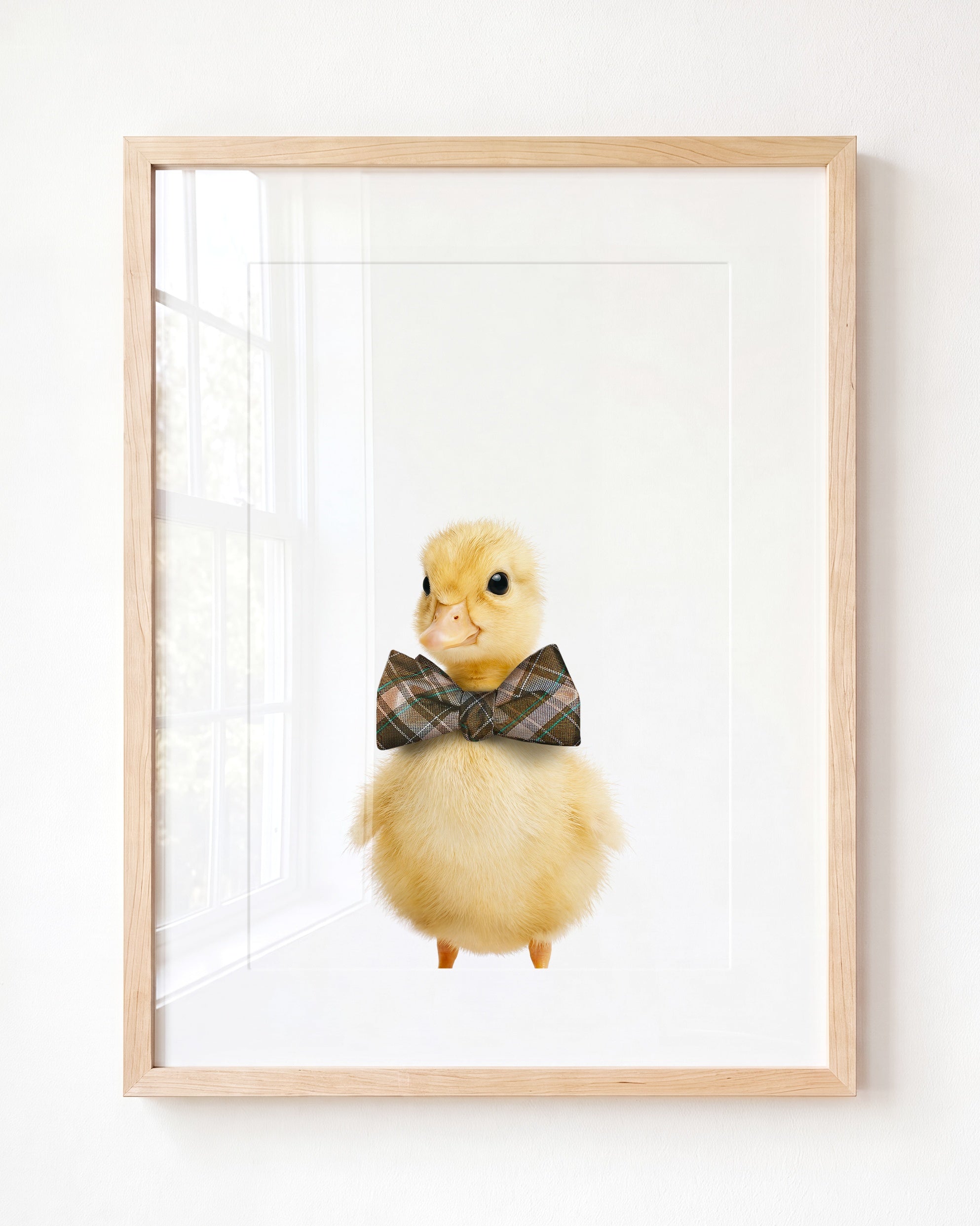 Baby Duckling