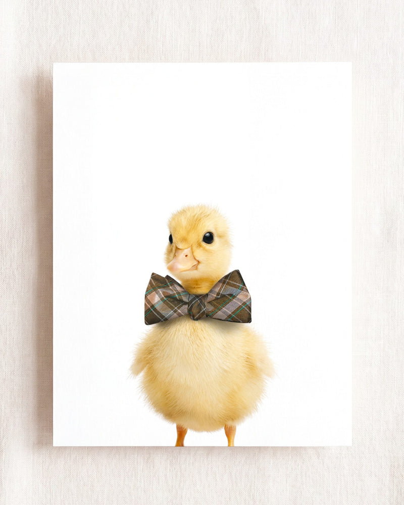 Bow Tie