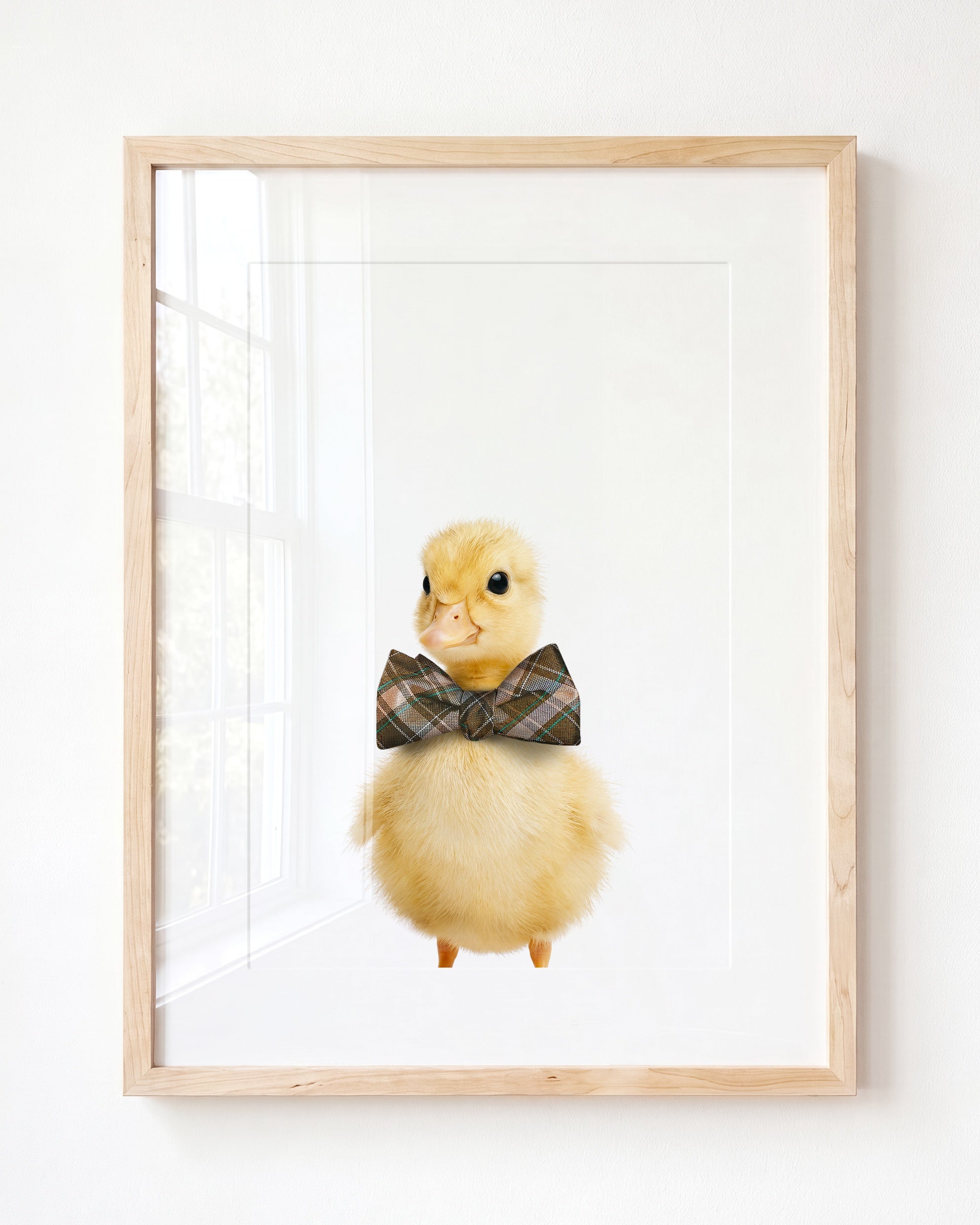 Baby Duckling