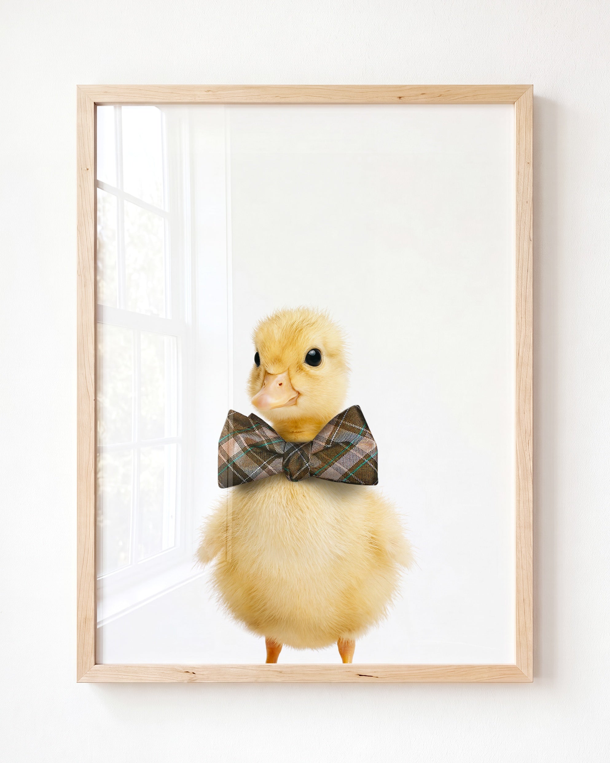 Baby Duckling