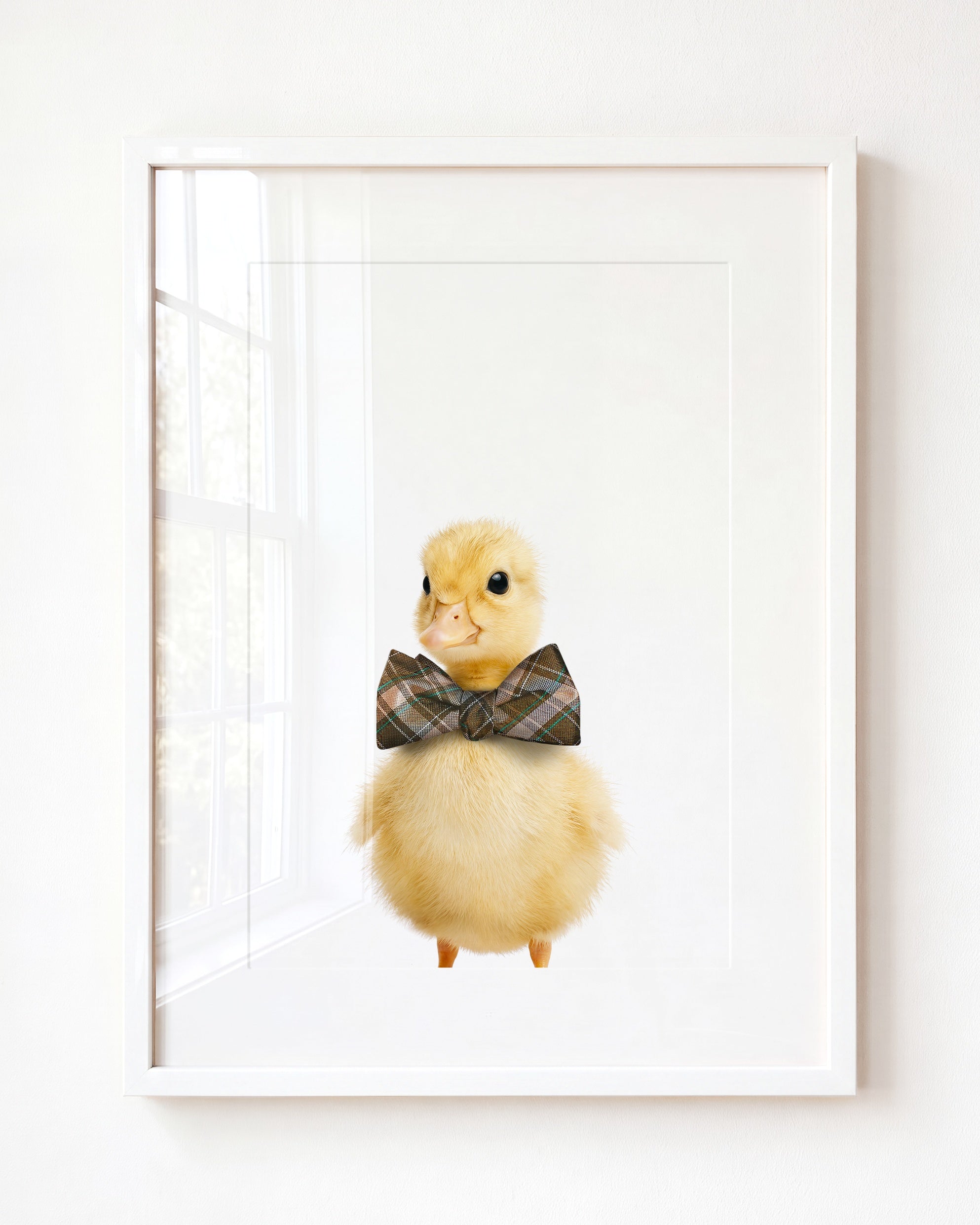 Baby Duckling