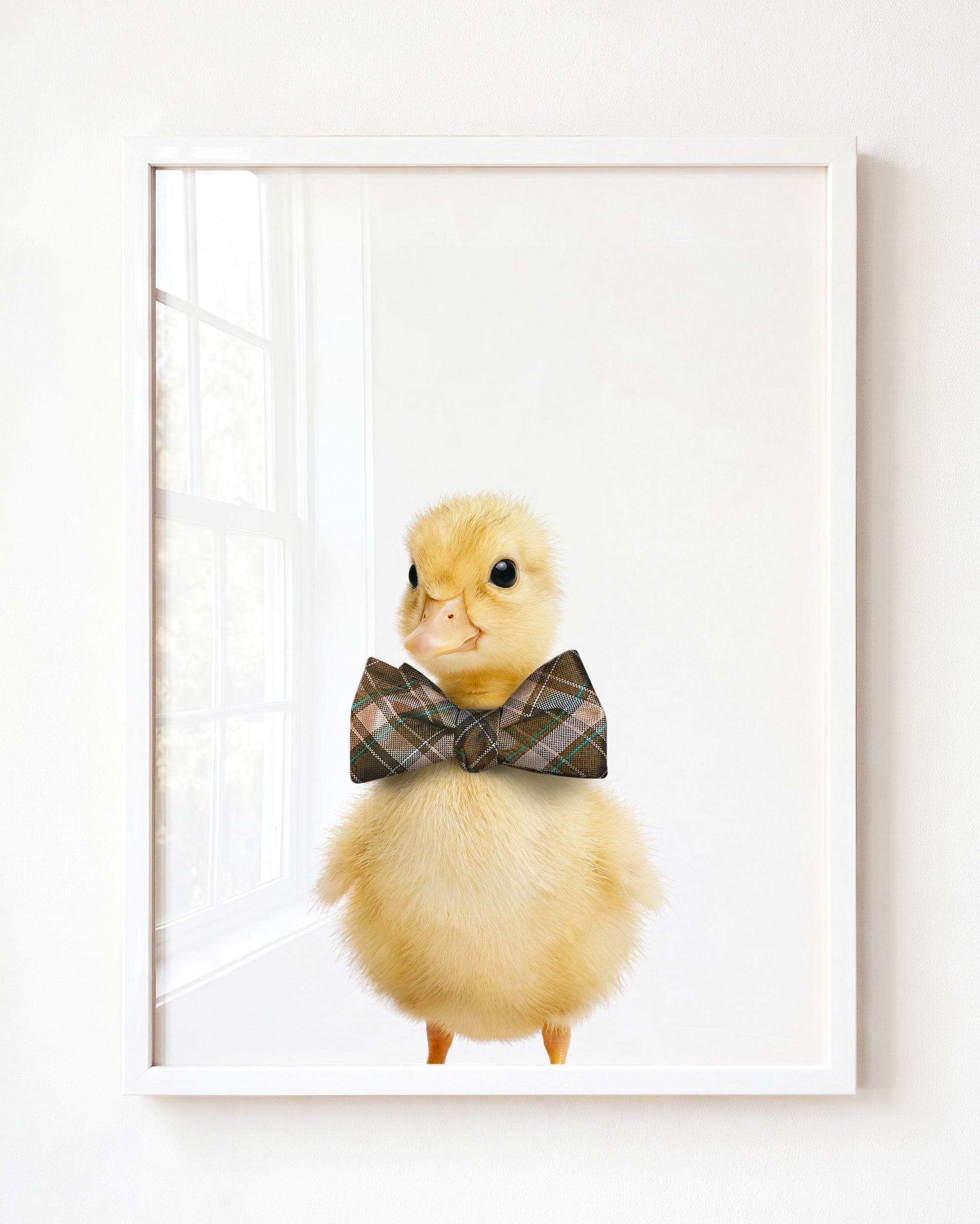 Baby Duckling