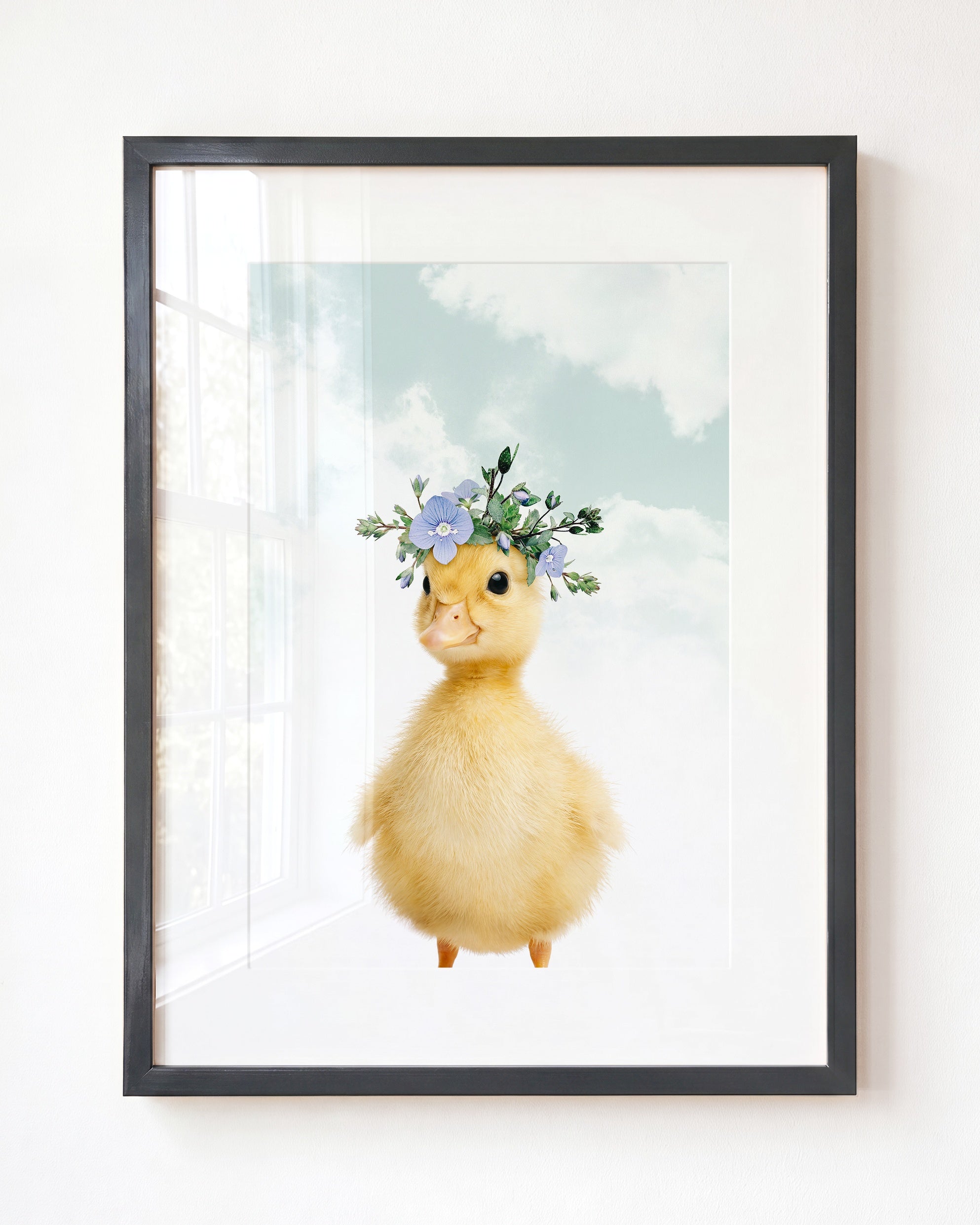 Baby Duckling