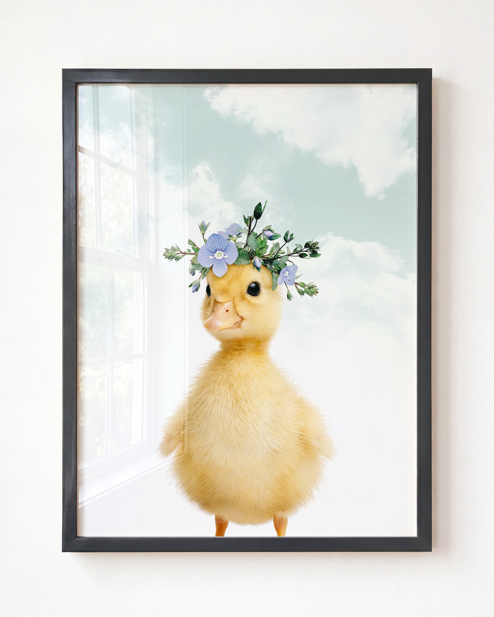 Baby Duckling