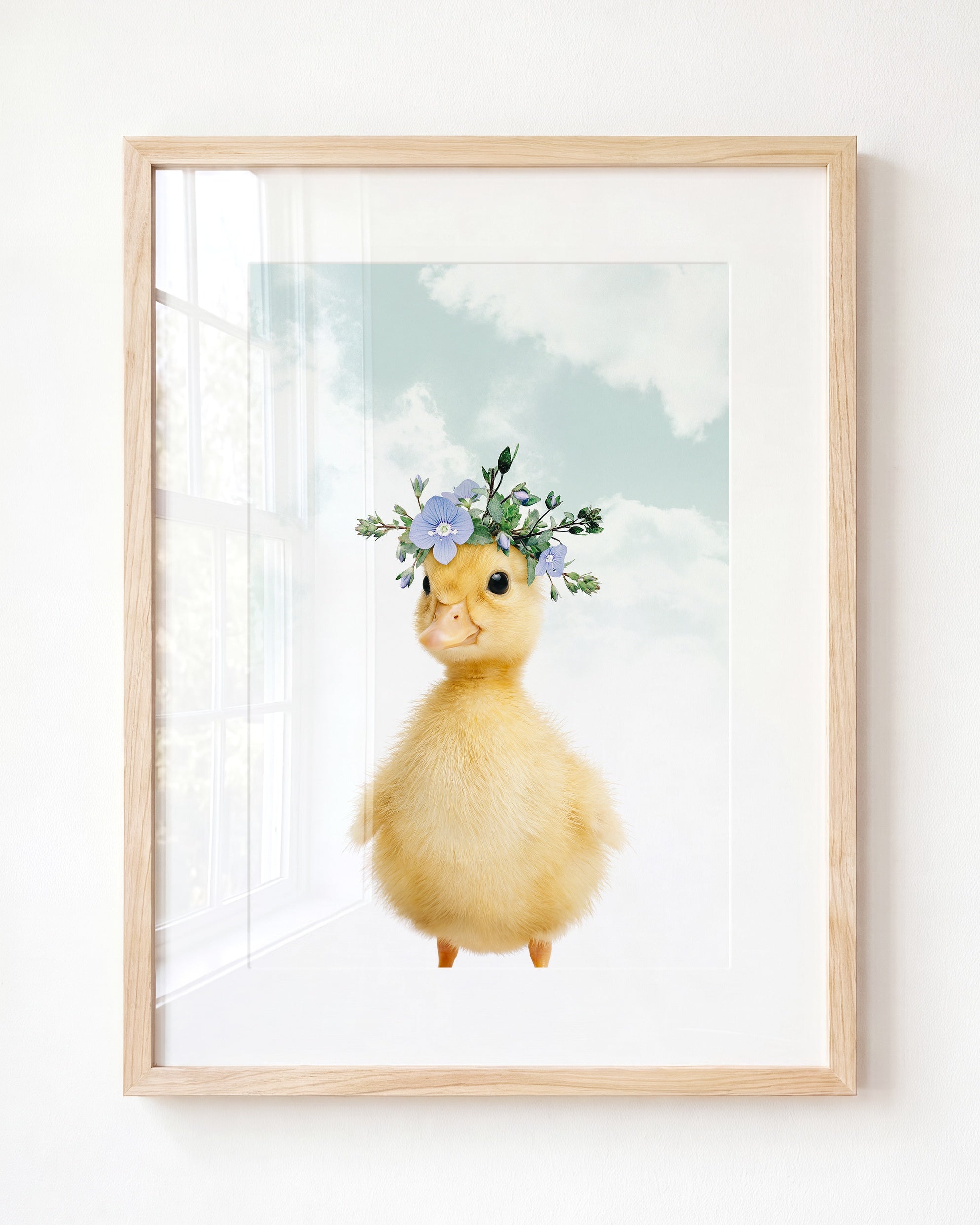 Baby Duckling