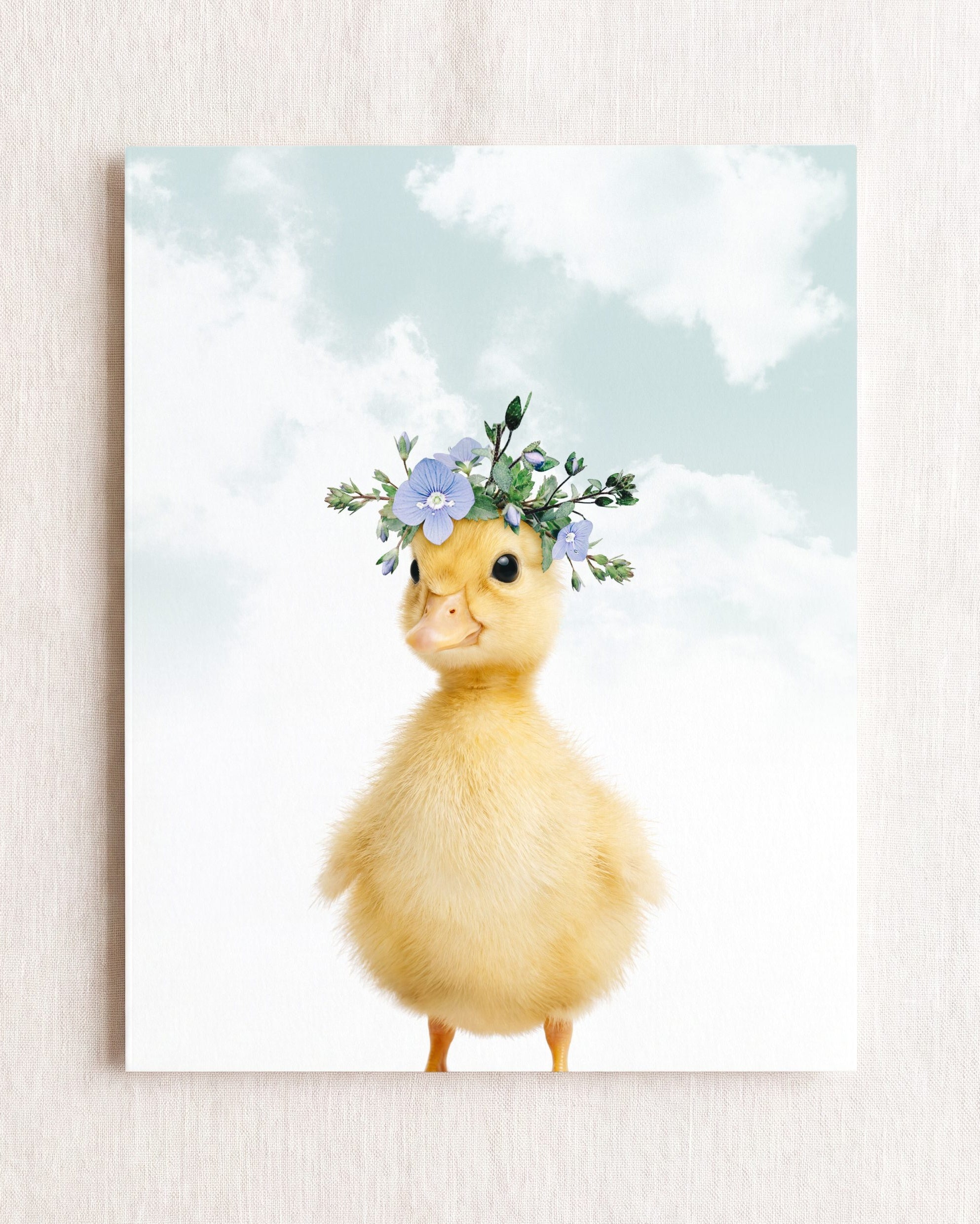 Baby Duckling