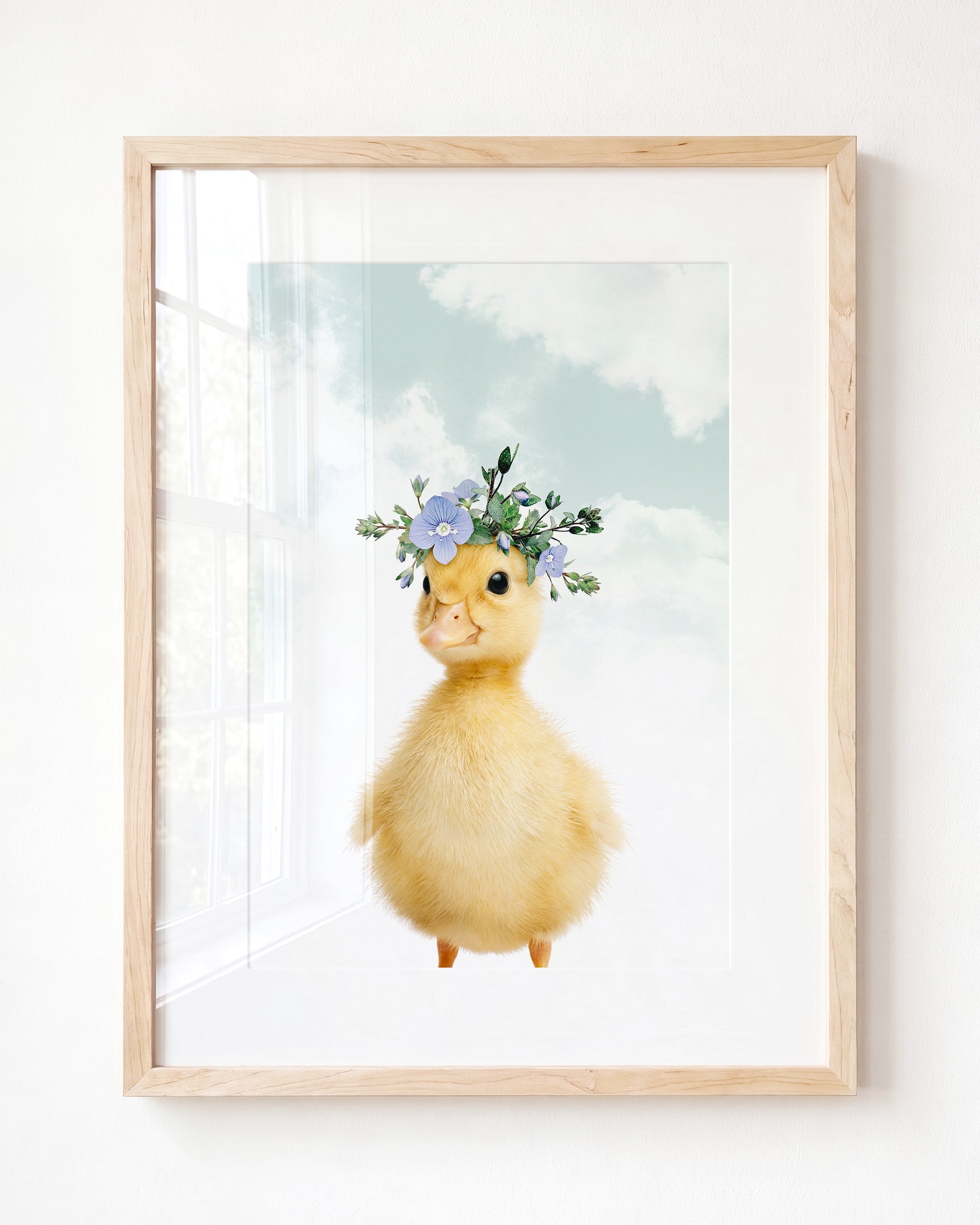 Baby Duckling