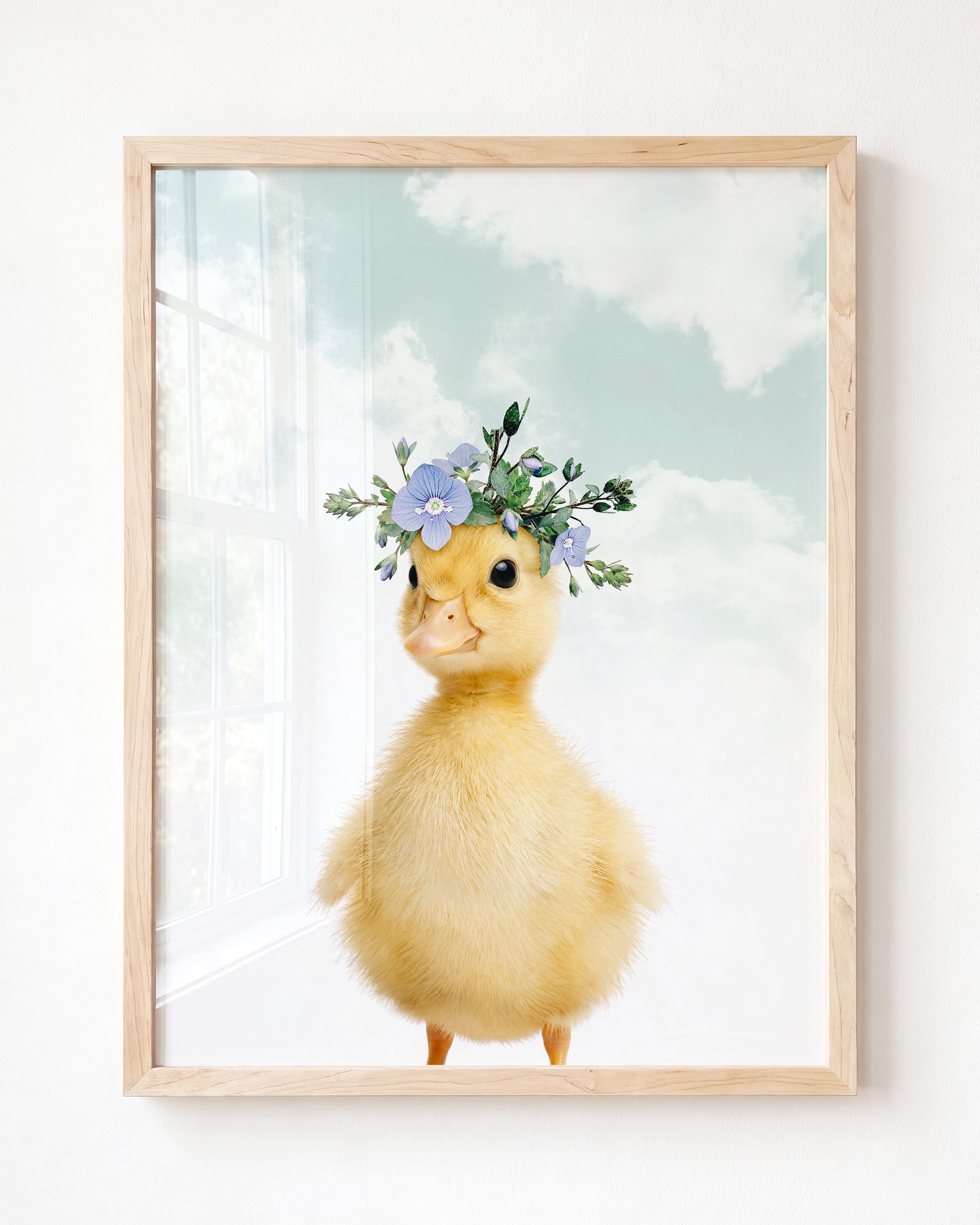 Baby Duckling